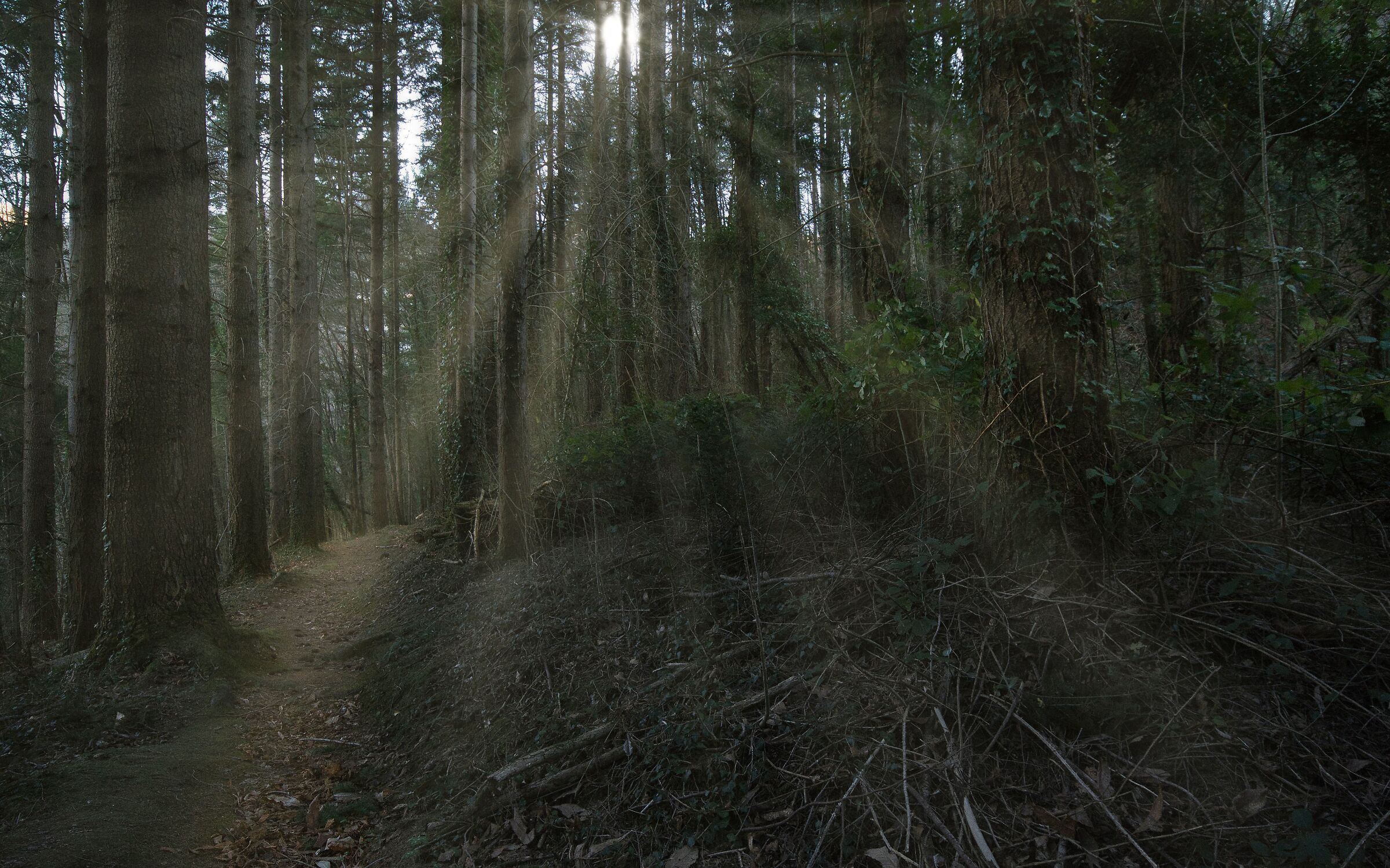 In the middle of the walk....