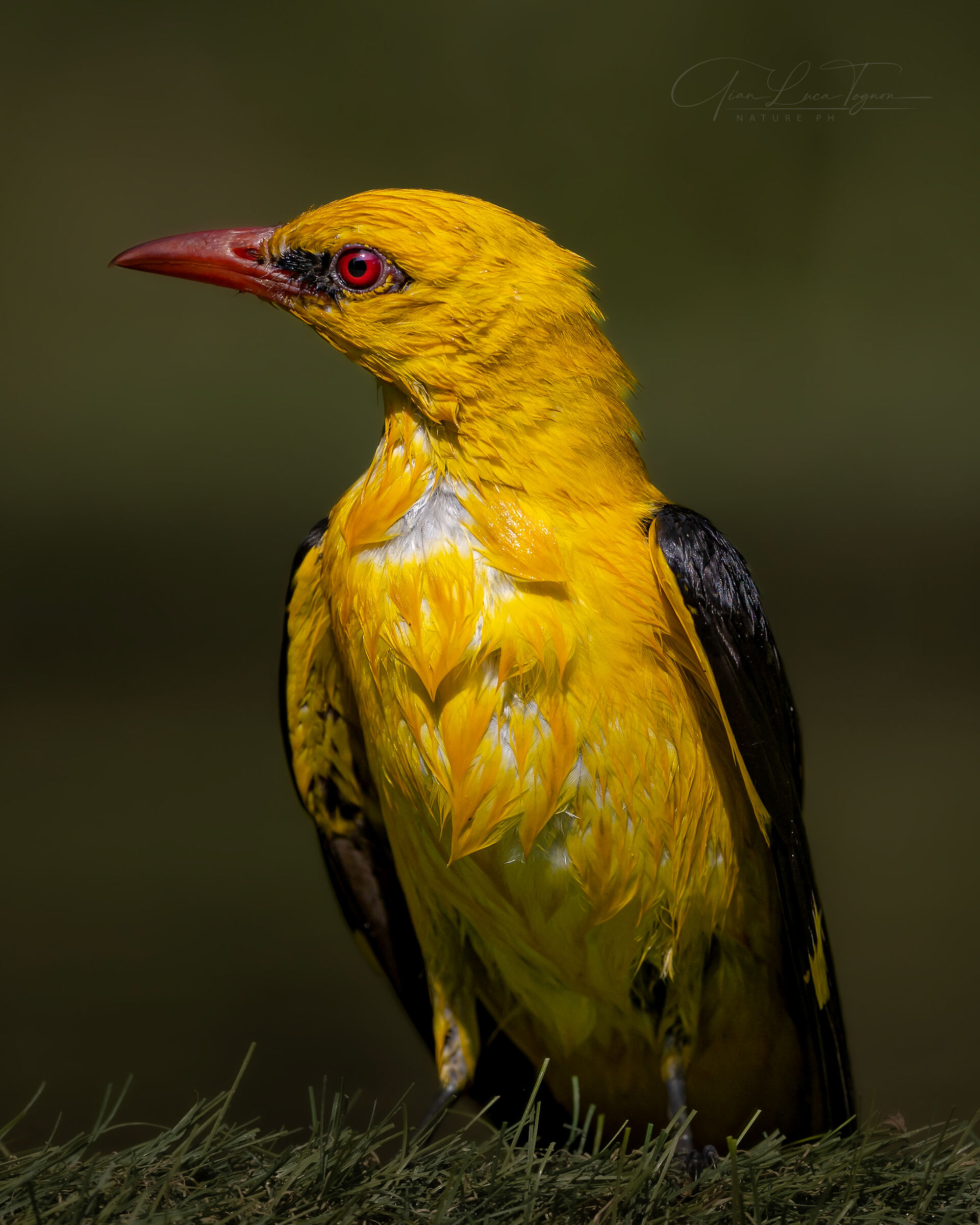 Contrasti: sole e nubi | Contrasts: sun and clouds