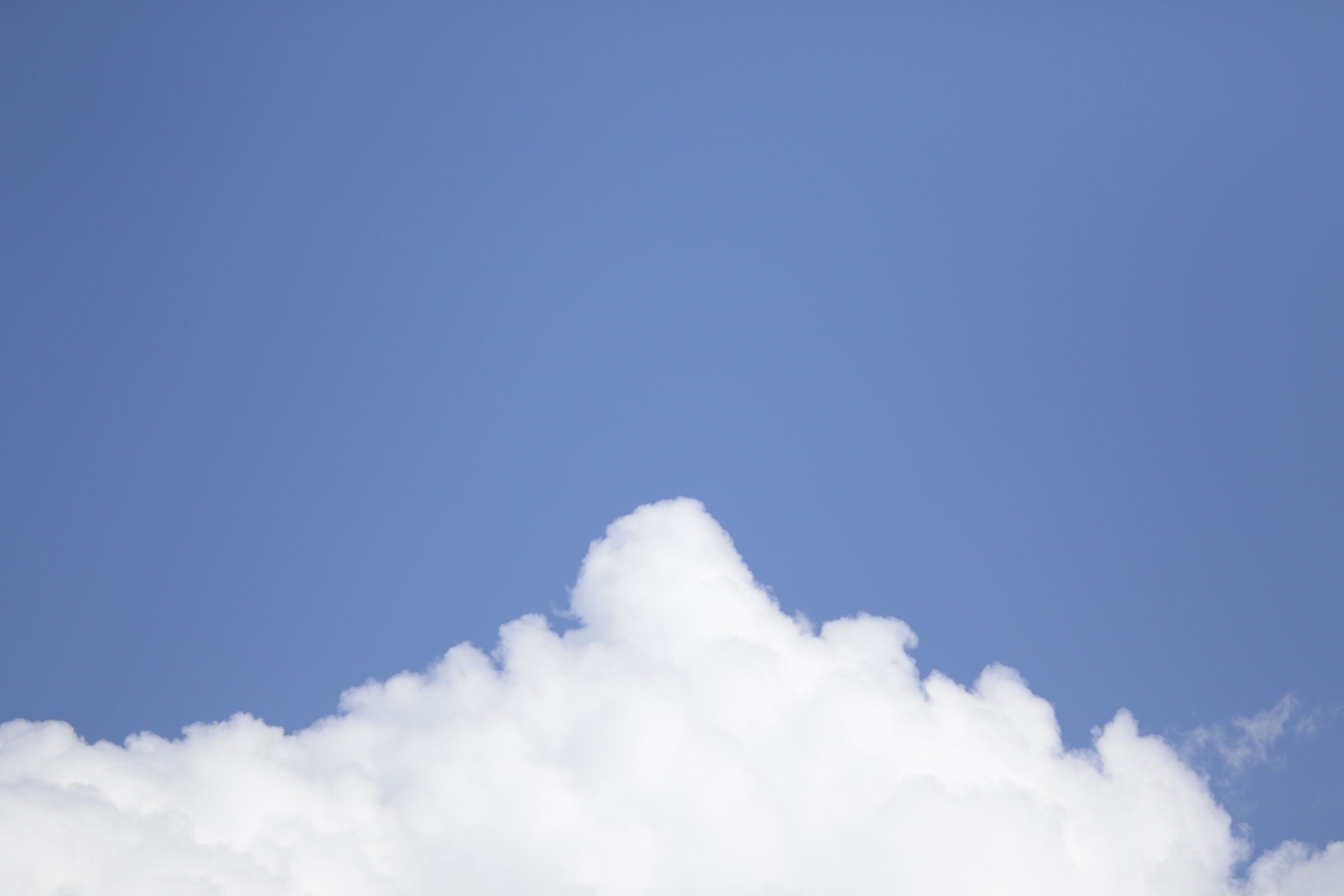 " F. 2 ", 1/ 8.0 0 0, ISO 125- 7D II, 135 F. 2 L U...