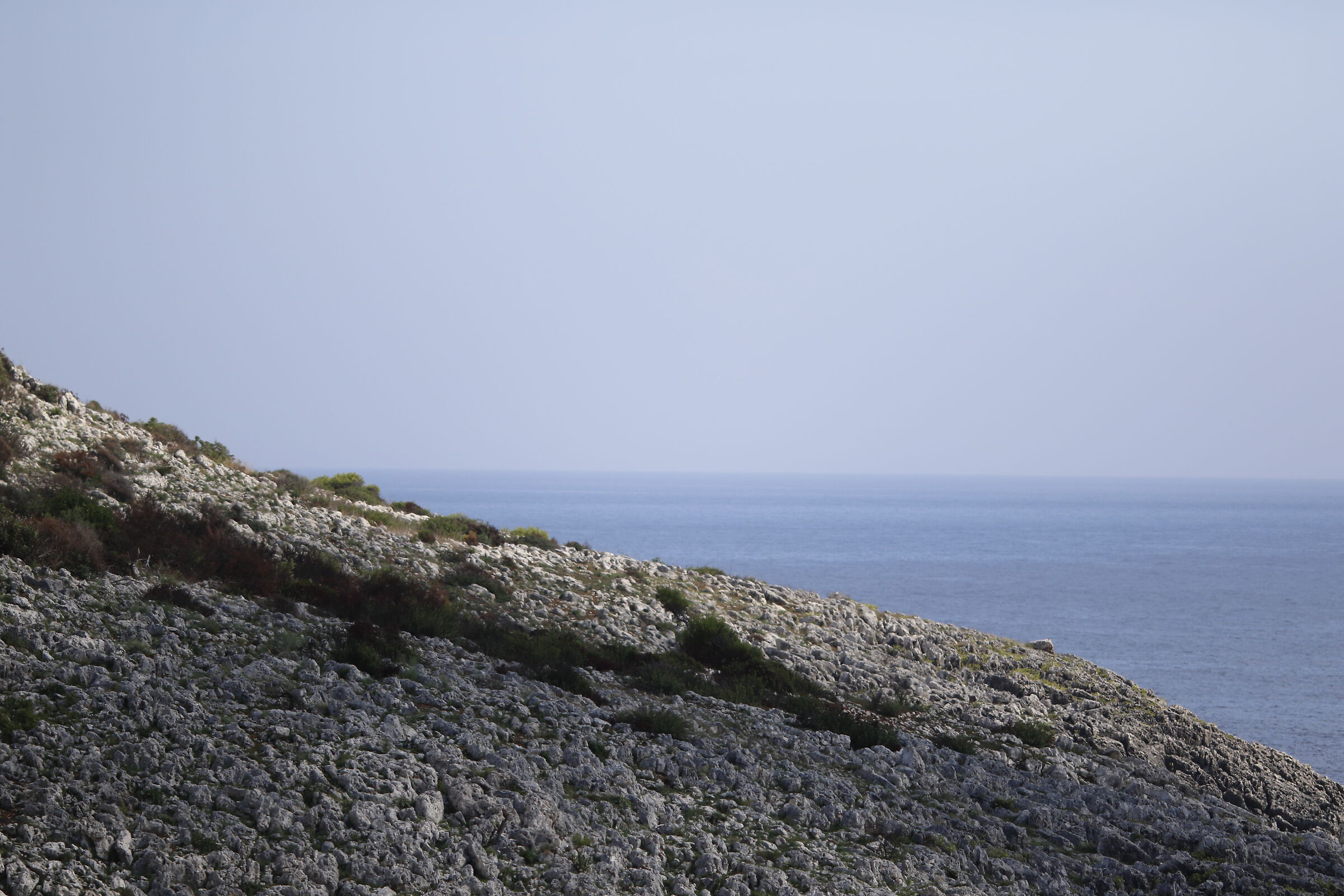 " F. 2 ", 1/ 8.0 0 0, ISO 125- 7D II, 135 F.2 L Us...