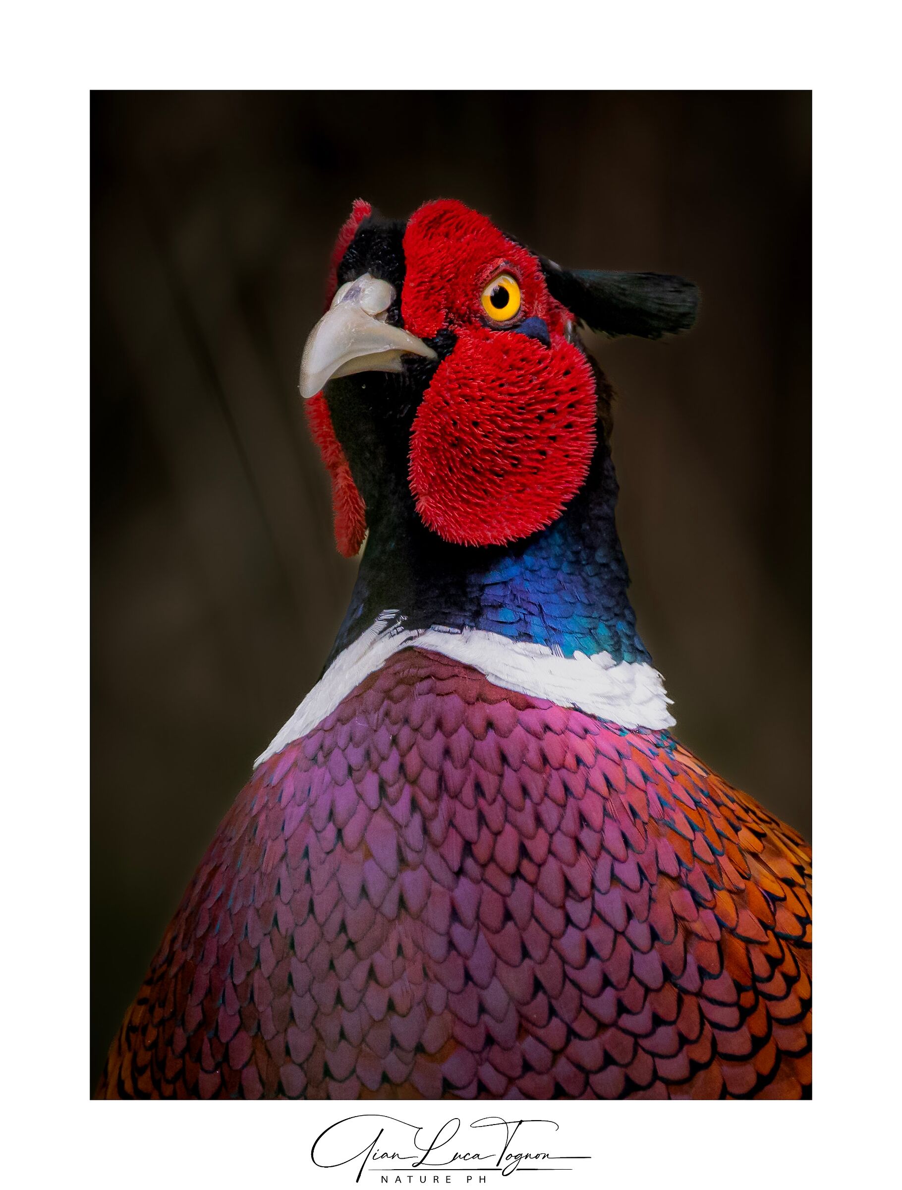 Le persone ti fisseranno ...