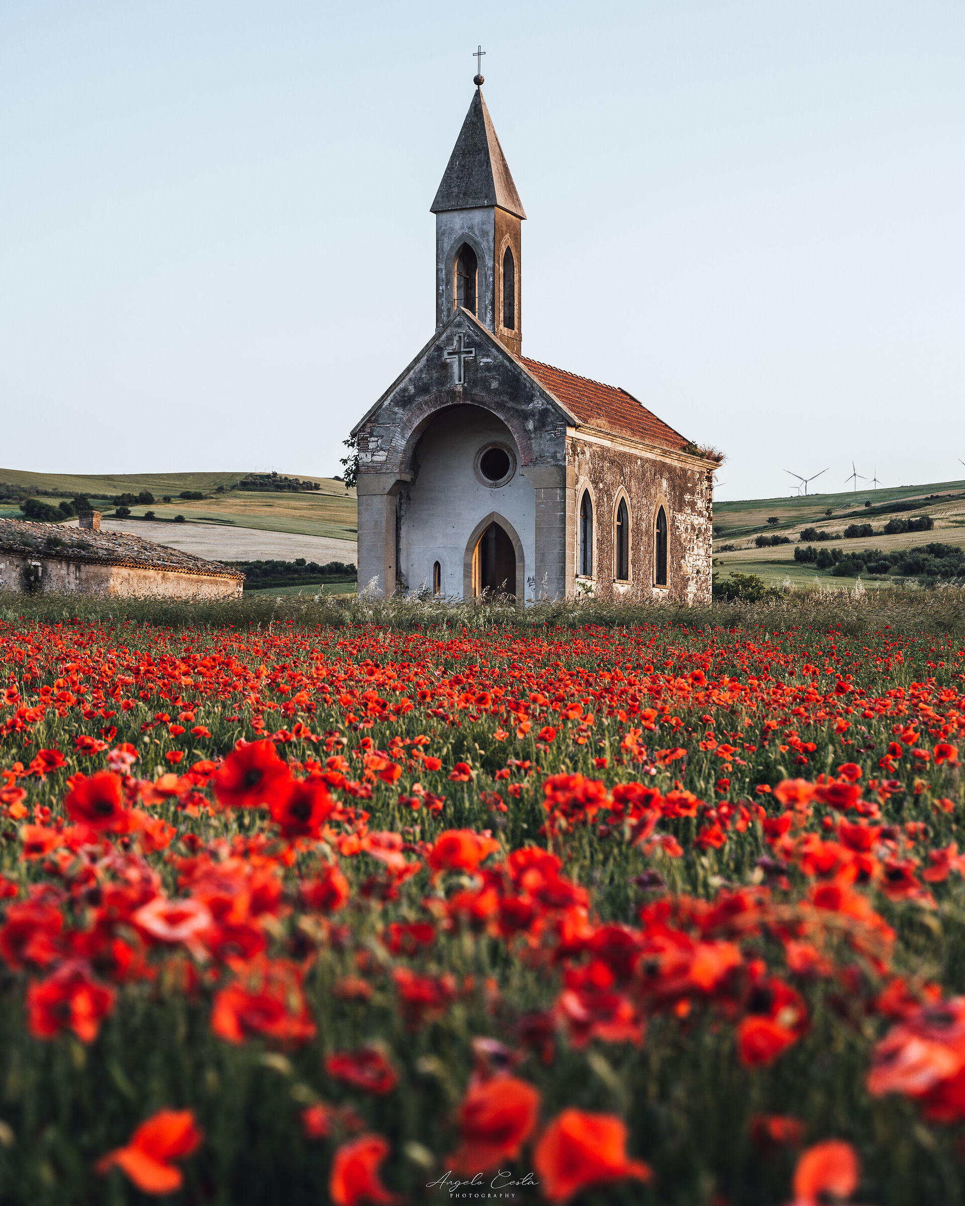 A Church among the poppies