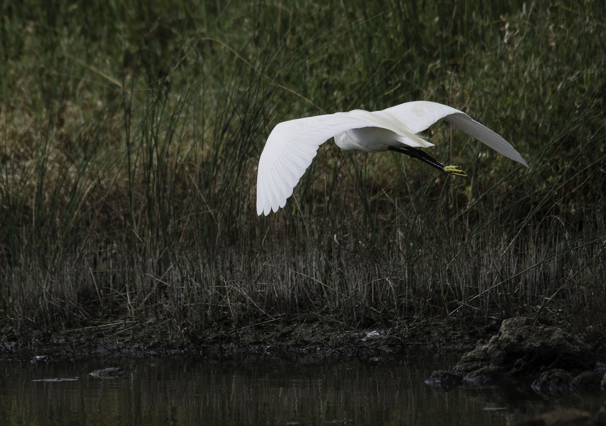 Planing egret salamaghe Budoni