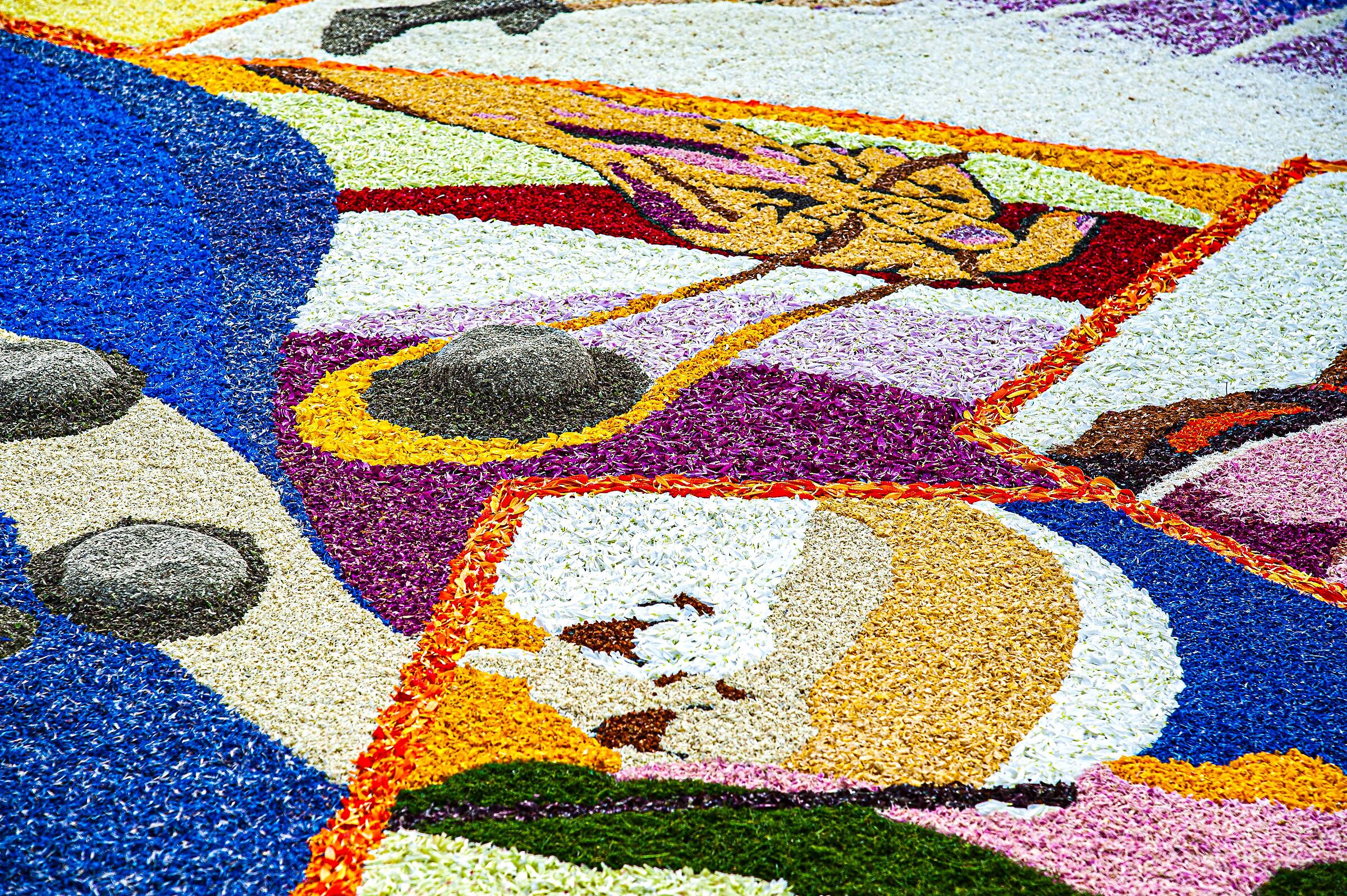 infiorata 15