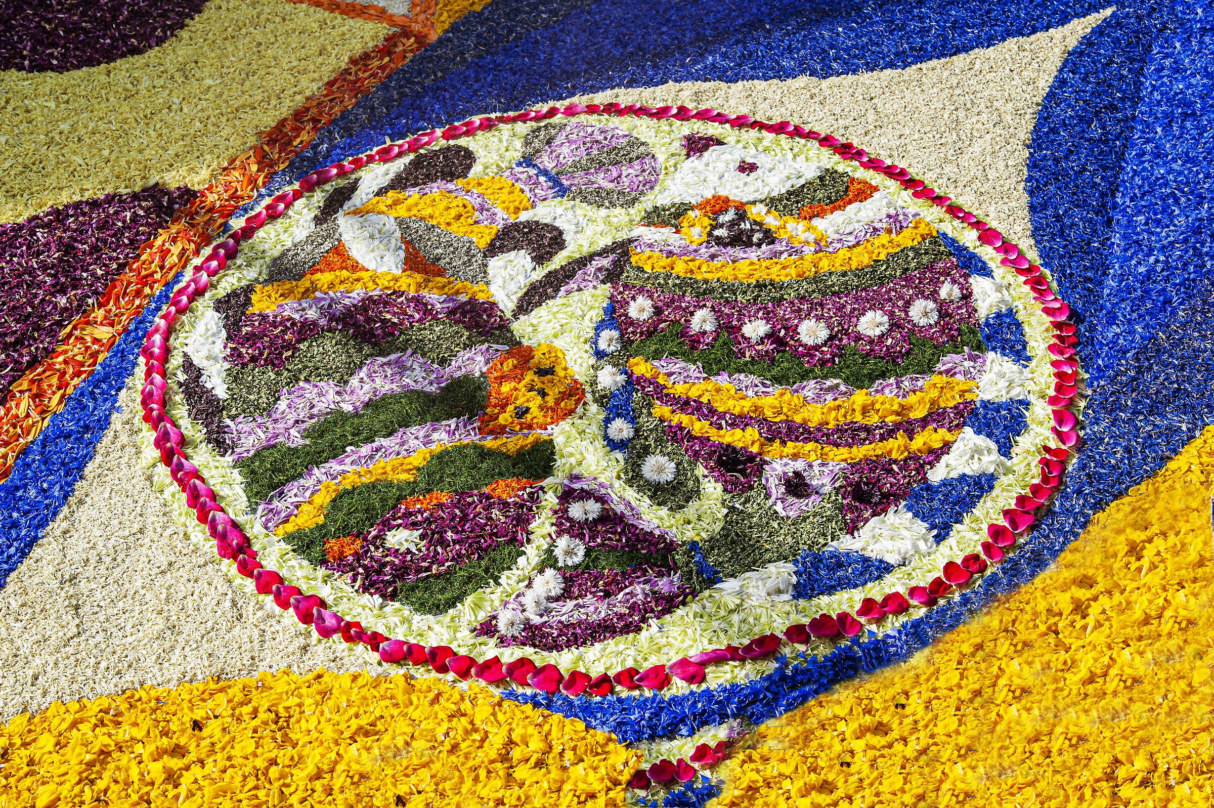 infiorata 17