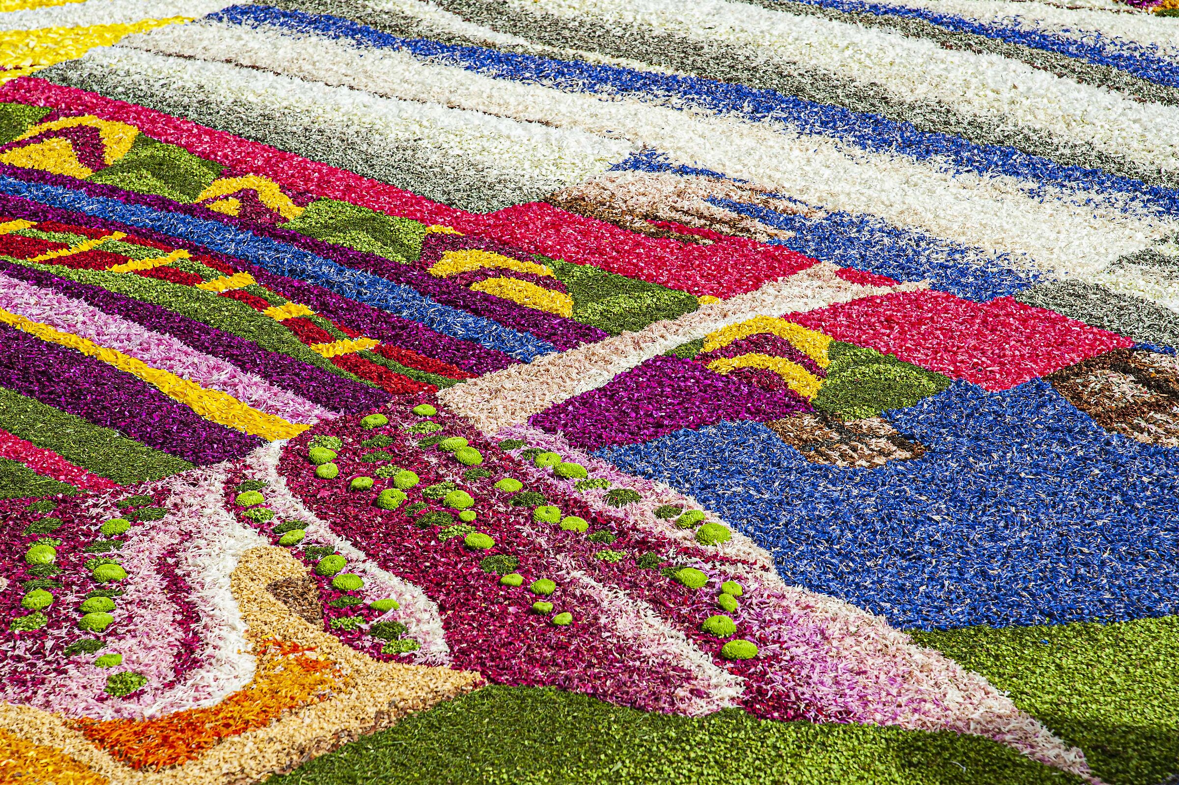 floral 22