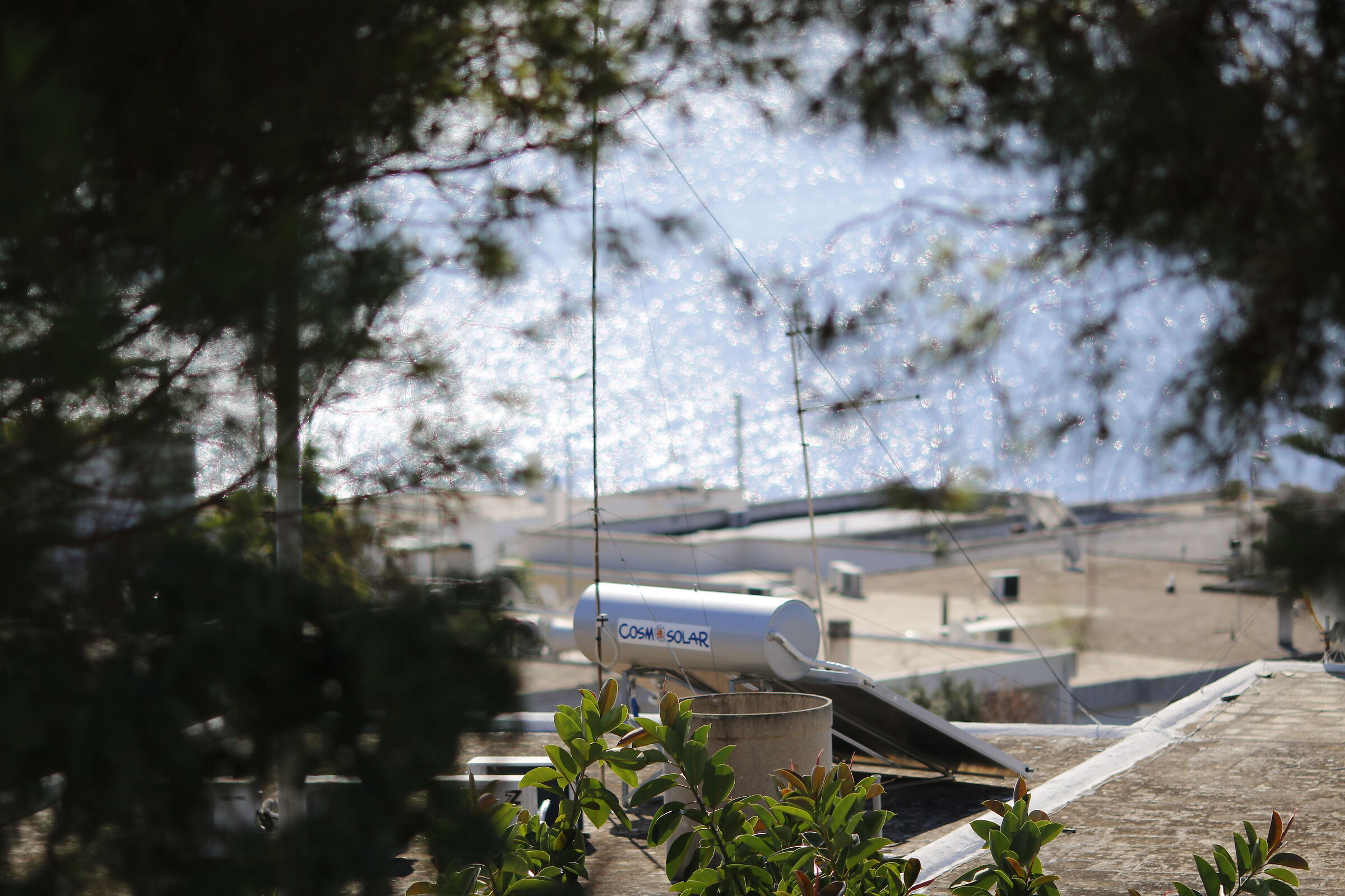 " F. 2 ", Crop 216- 7D II, 135 F. 2 L Usm