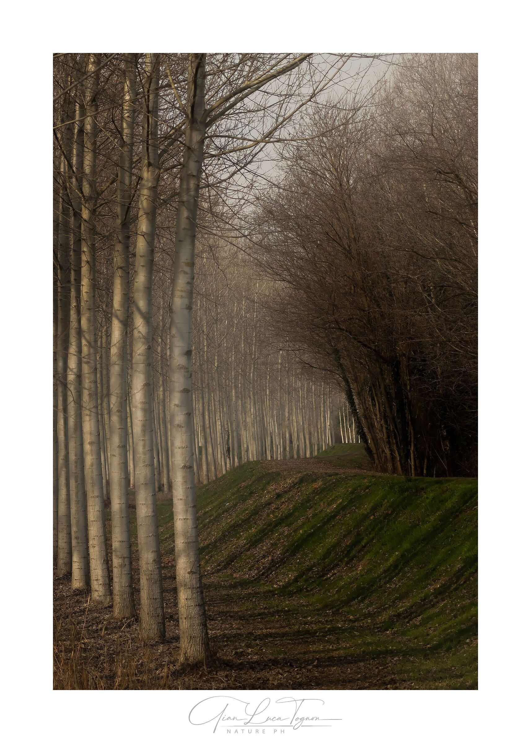 Colori e luci d'autunno