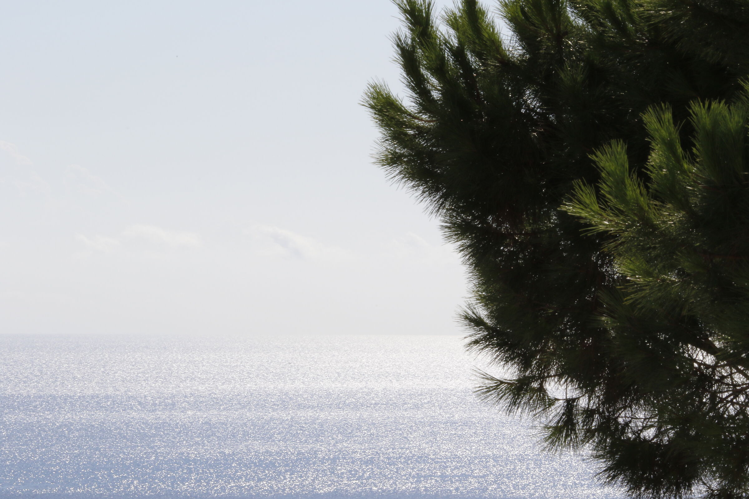" F. 32 ", Crop 216- 7D II, 135 F.2 L Usm