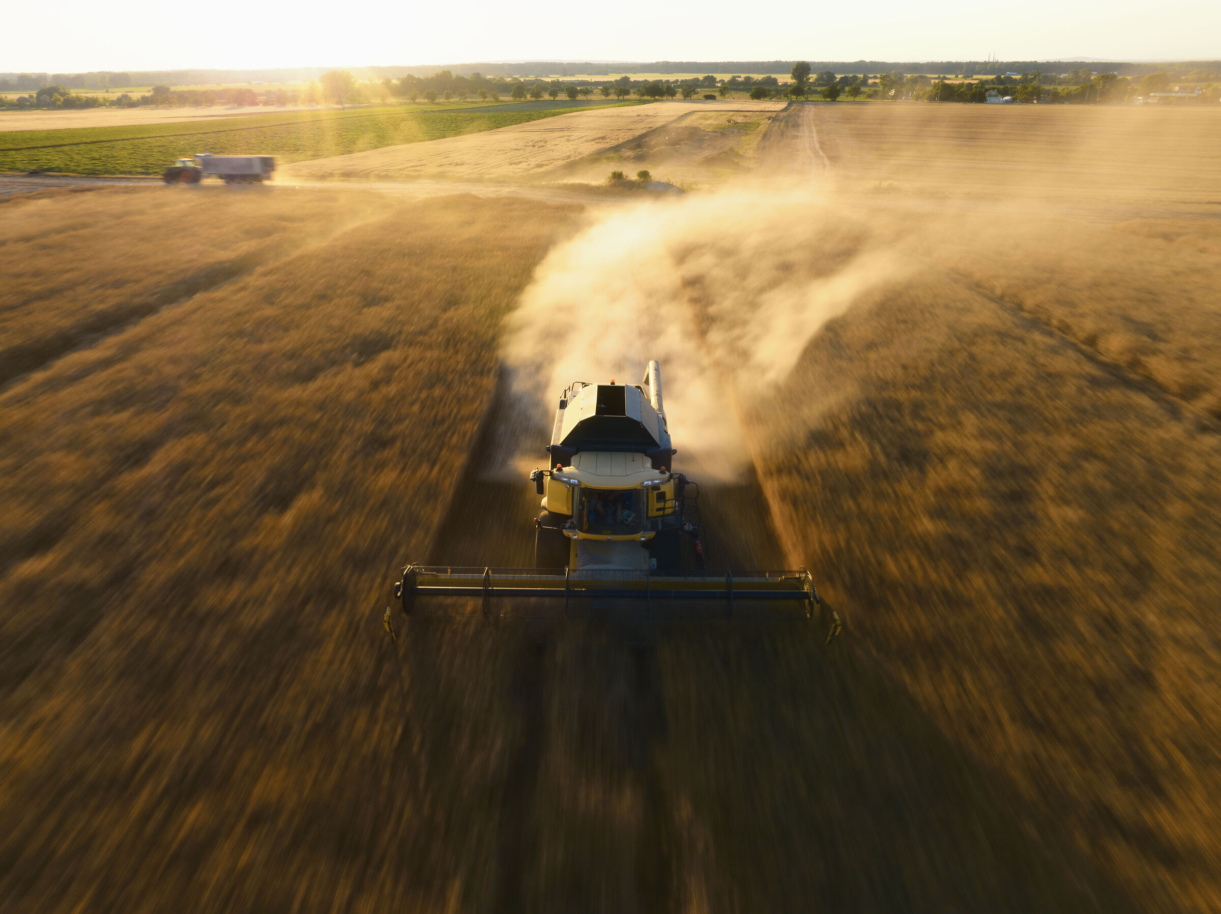 harvest