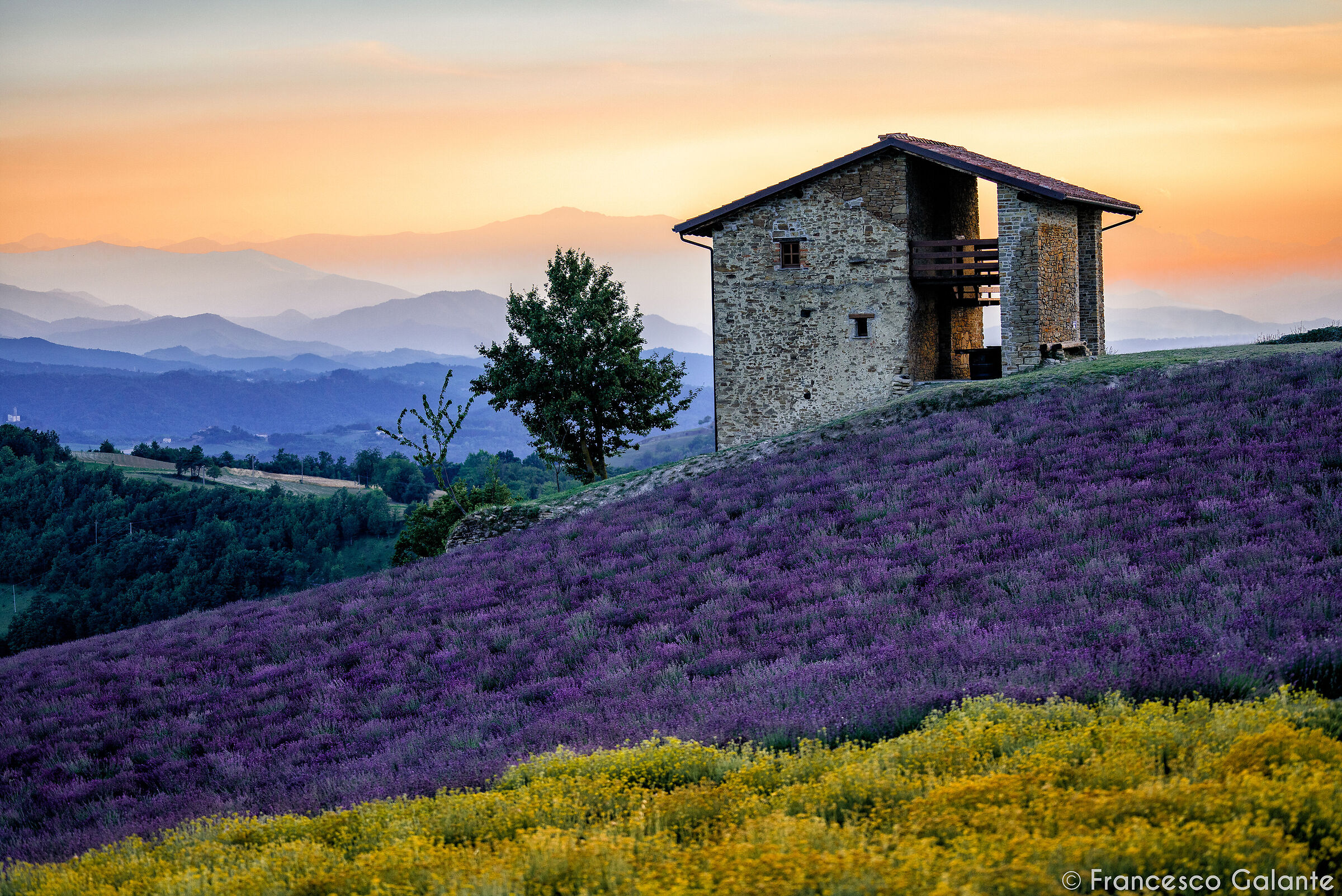 Tramonto in Lavanda - Sale San Giovanni 2