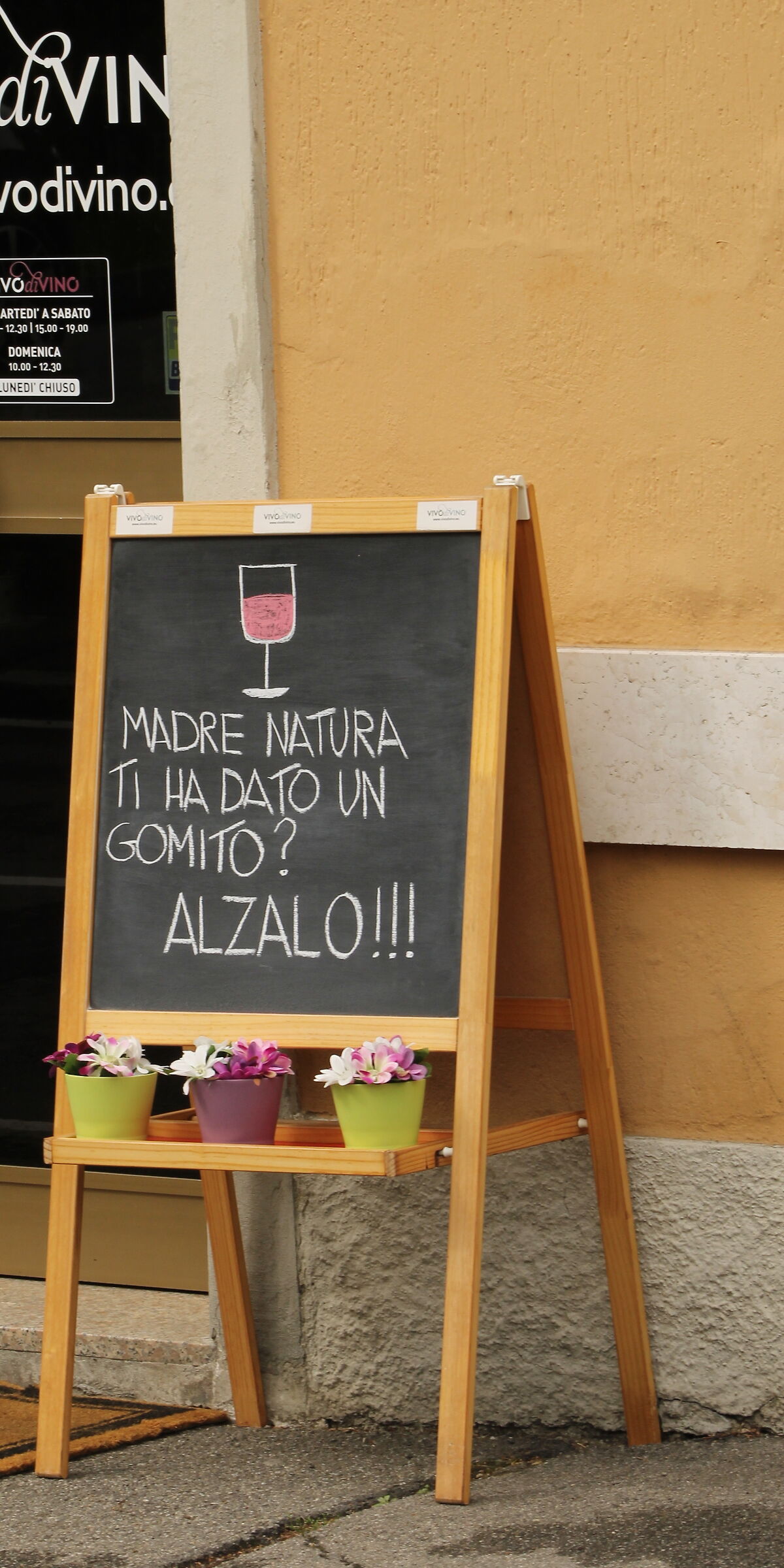 Anatomia poco sobria