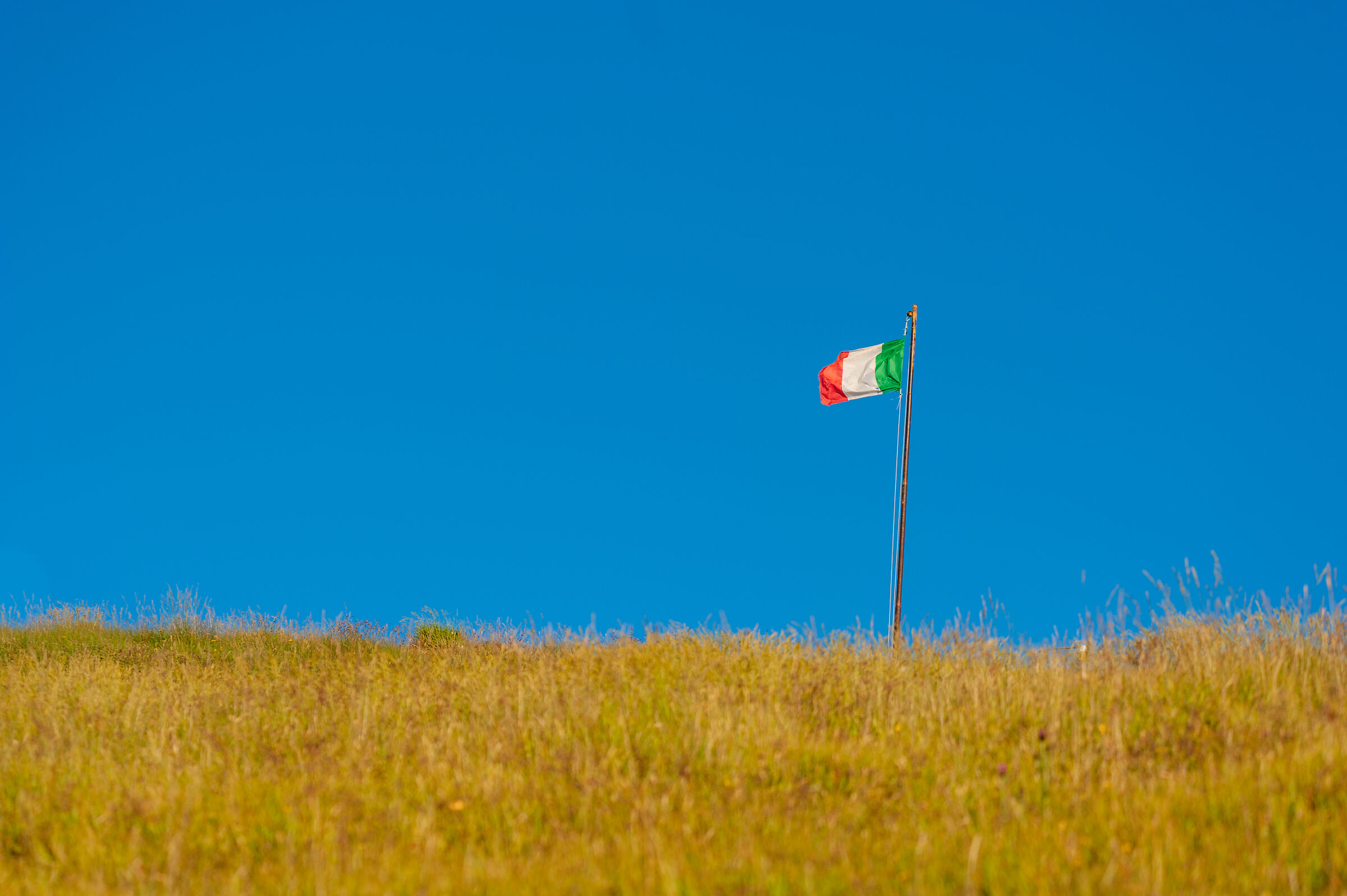 Il tricolore