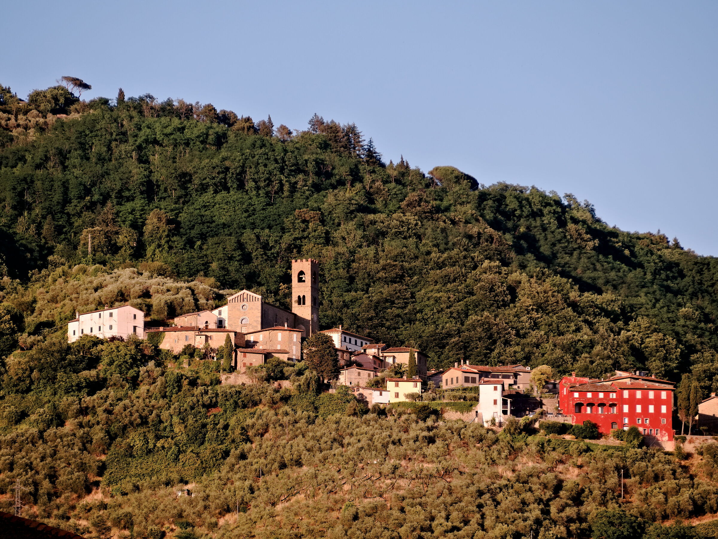 Landscape