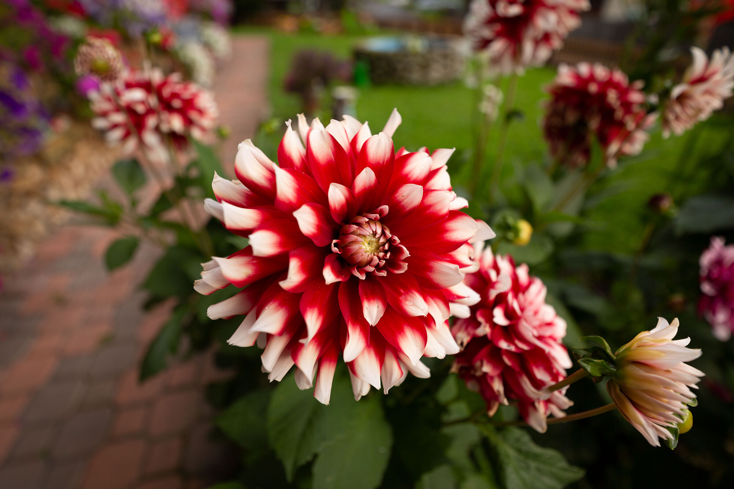 Giusto qualche punta di bianco