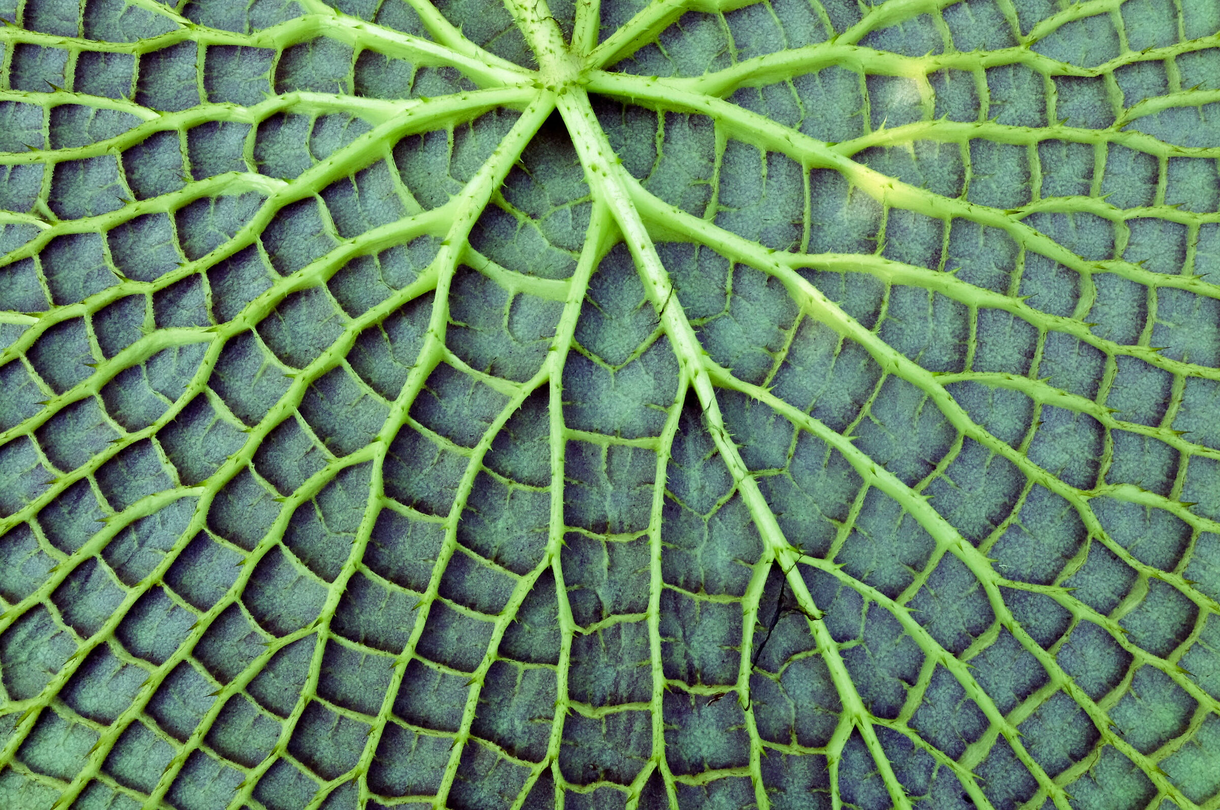 Untitled Photo