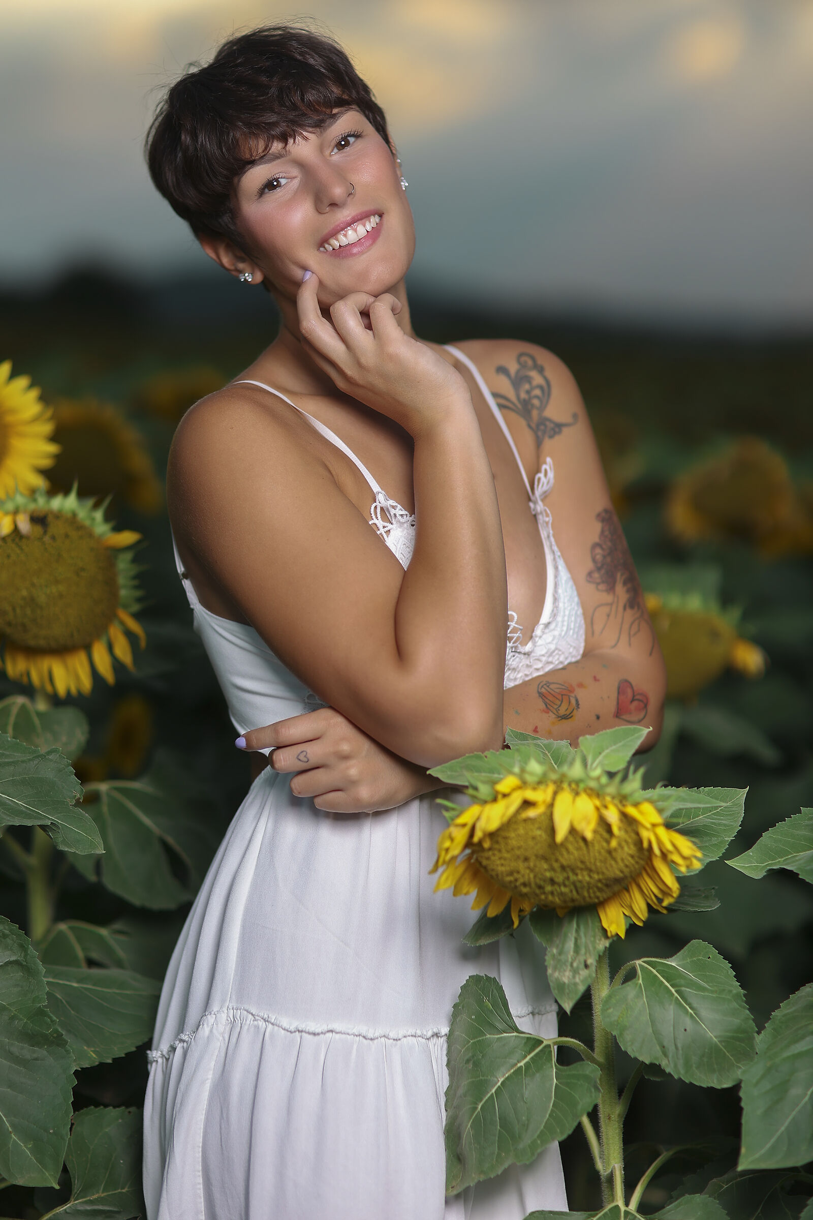 Il sorriso dei girasoli