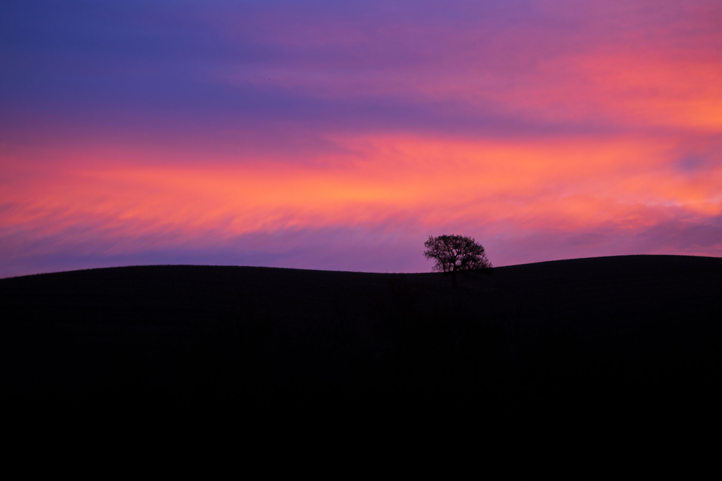 tuscany alba