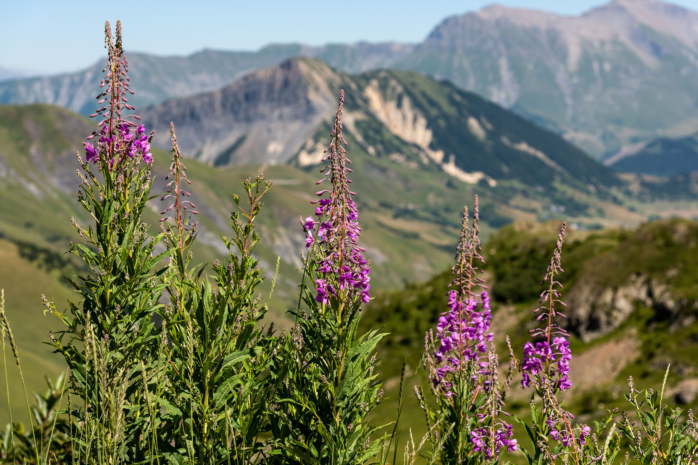 Col de la Croix-de-Fer