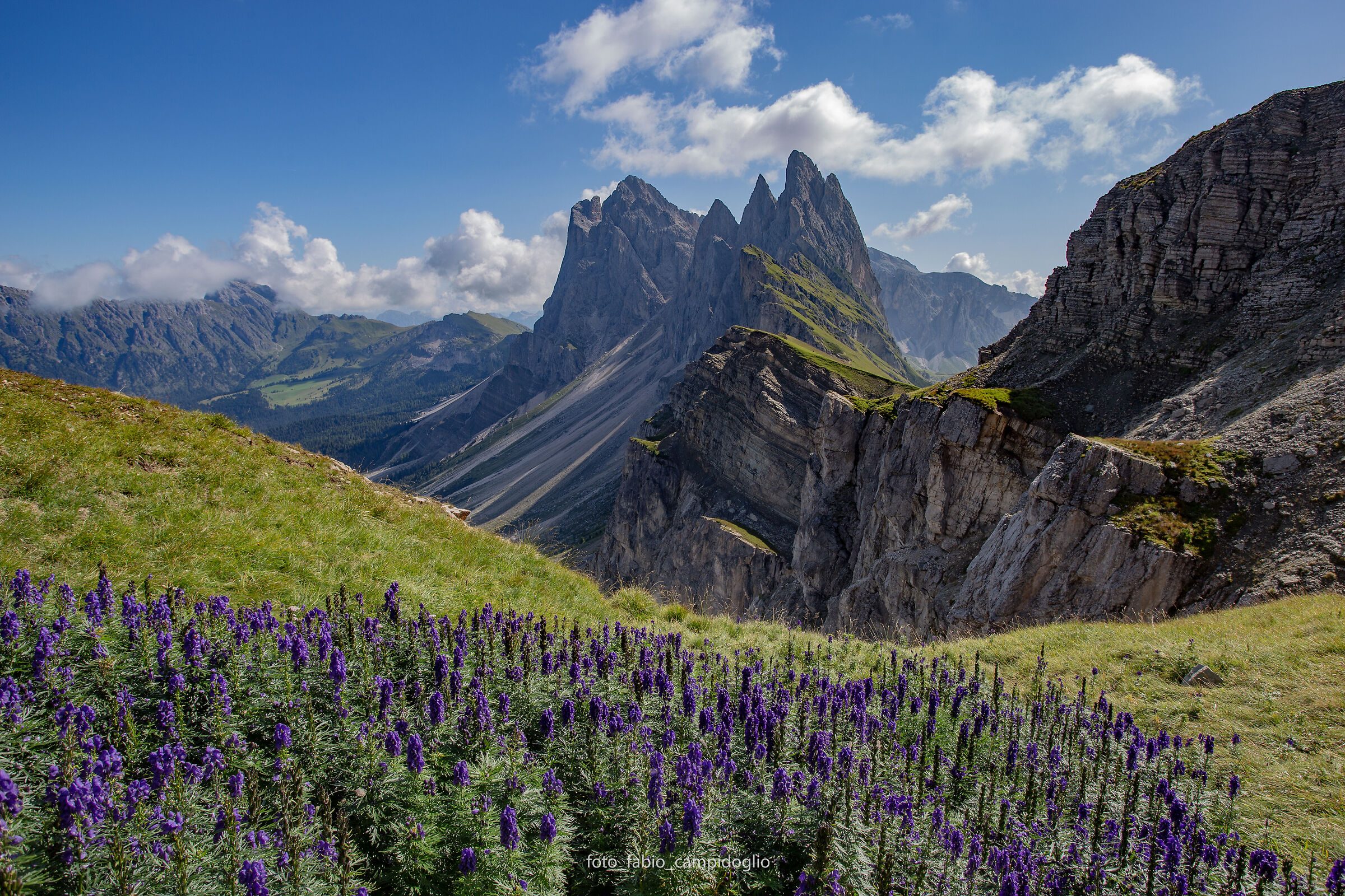 seceda