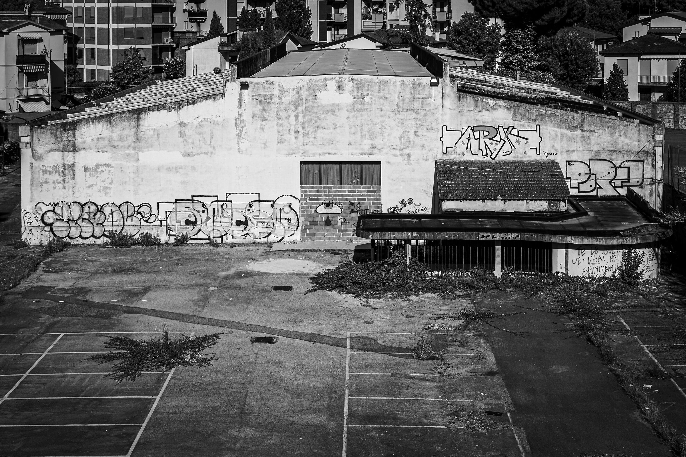 View from the walls of Pisa