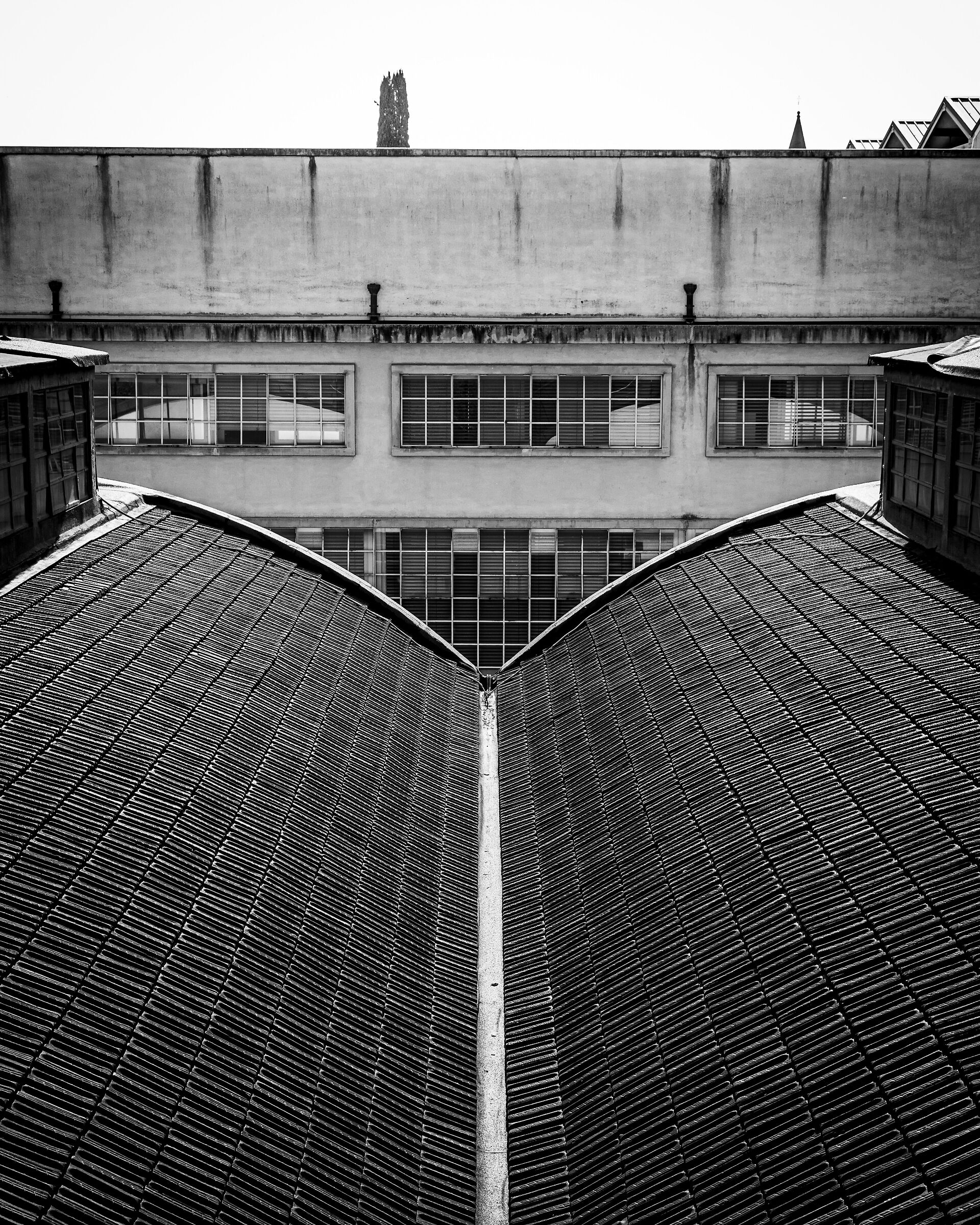 Detail Fibonacci University Pole