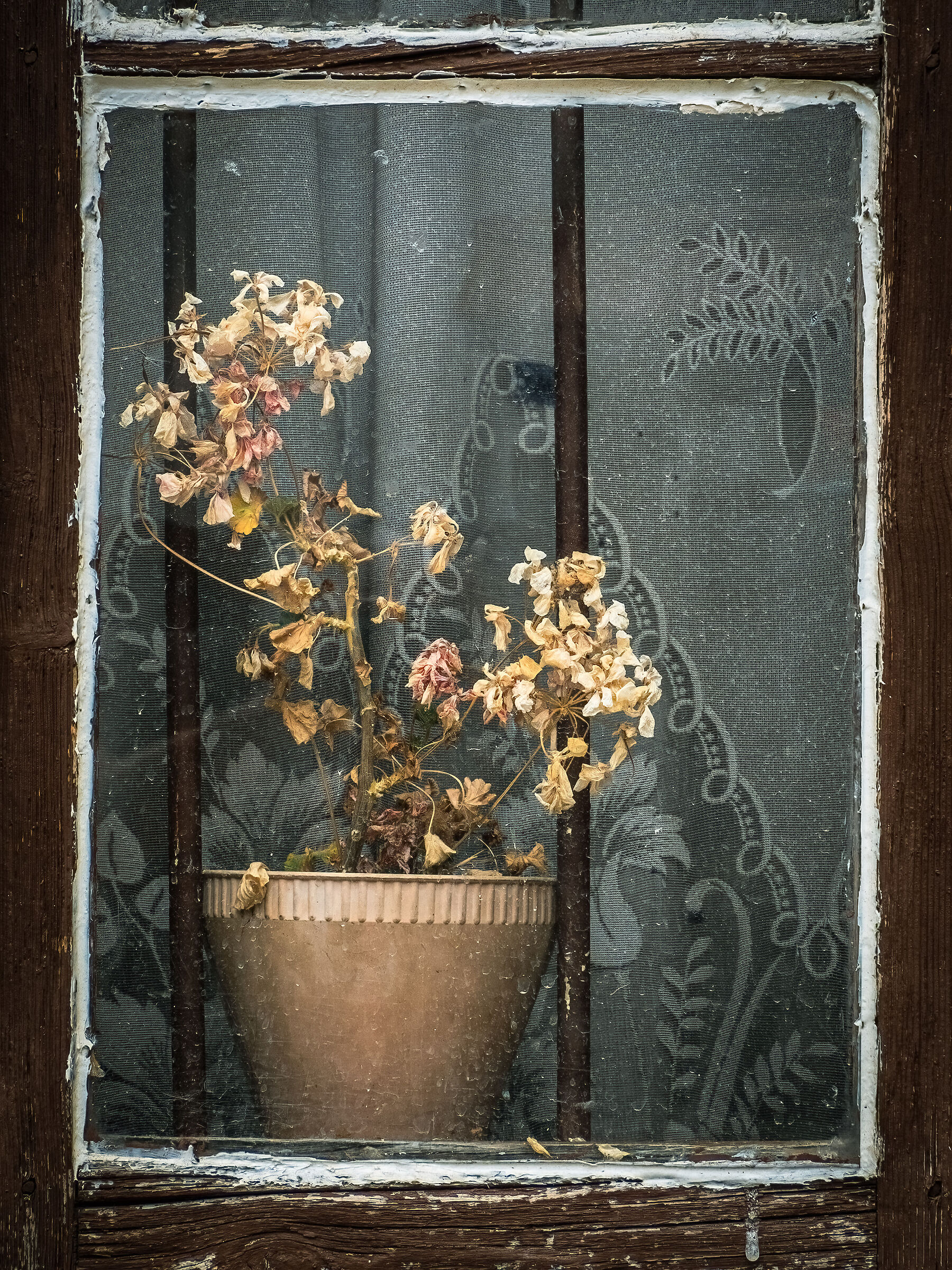 SolitudineLoneliness