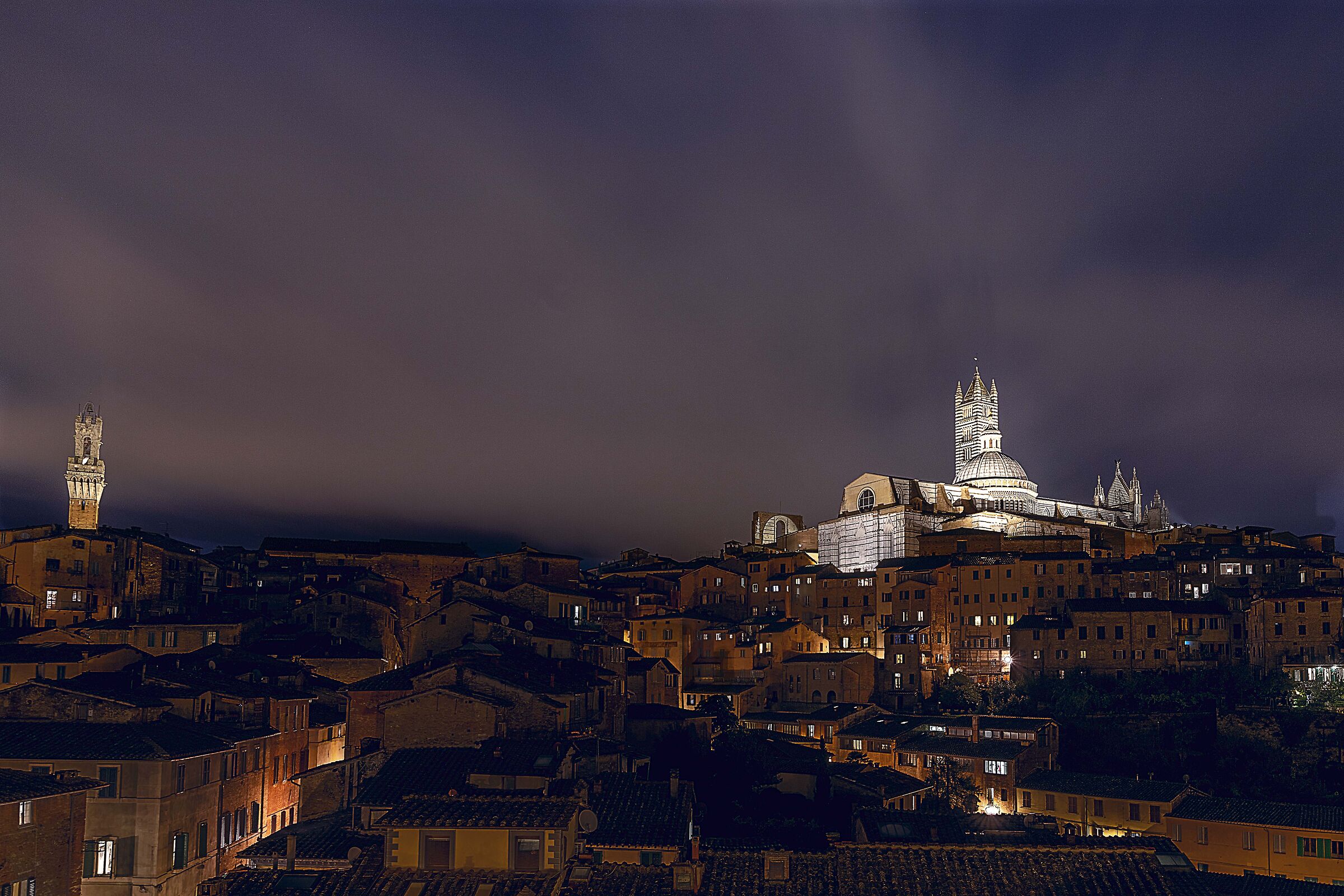 SIENA NIGHT