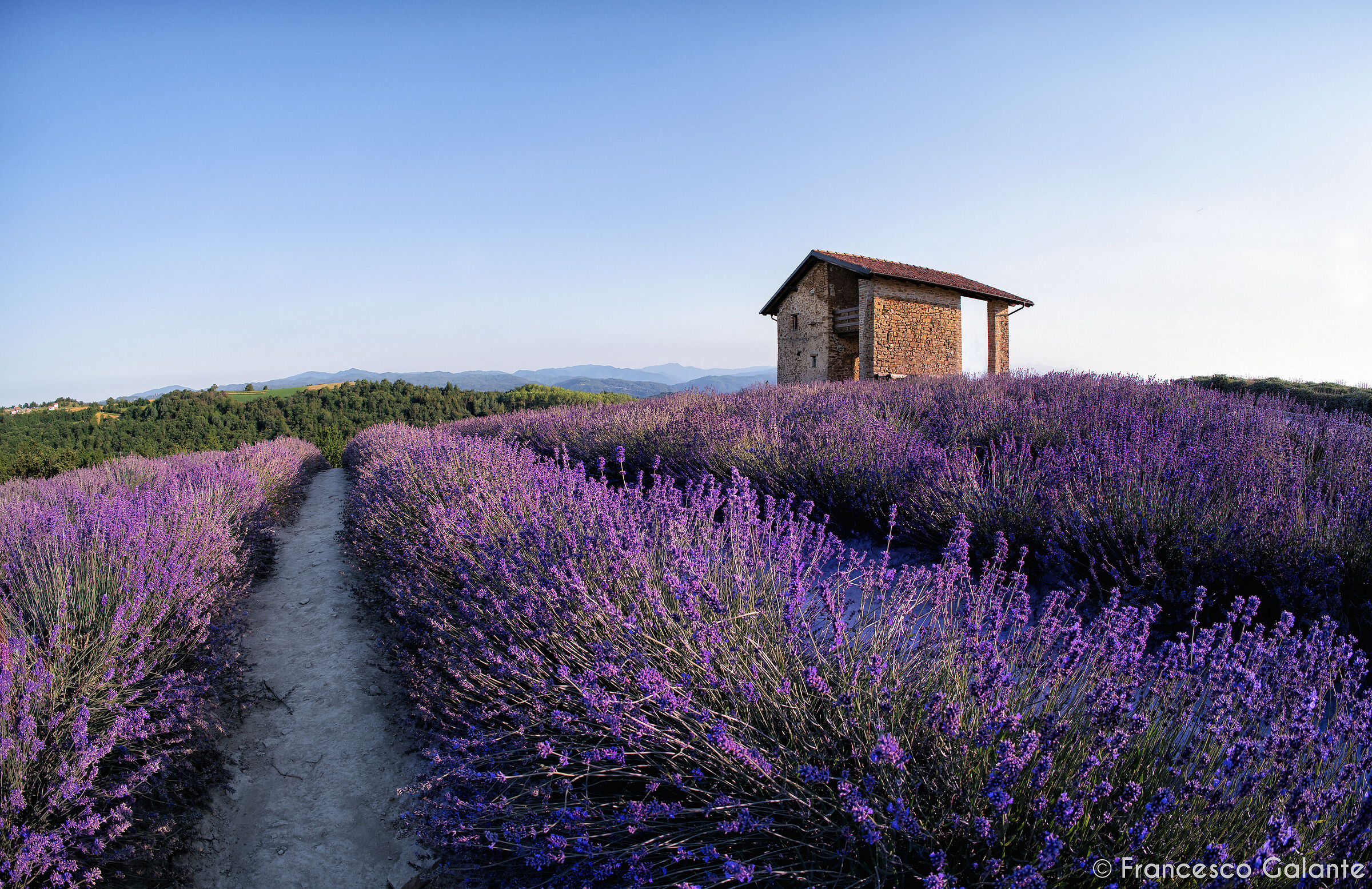 Sunset in Lavender - Sale San Giovanni 2