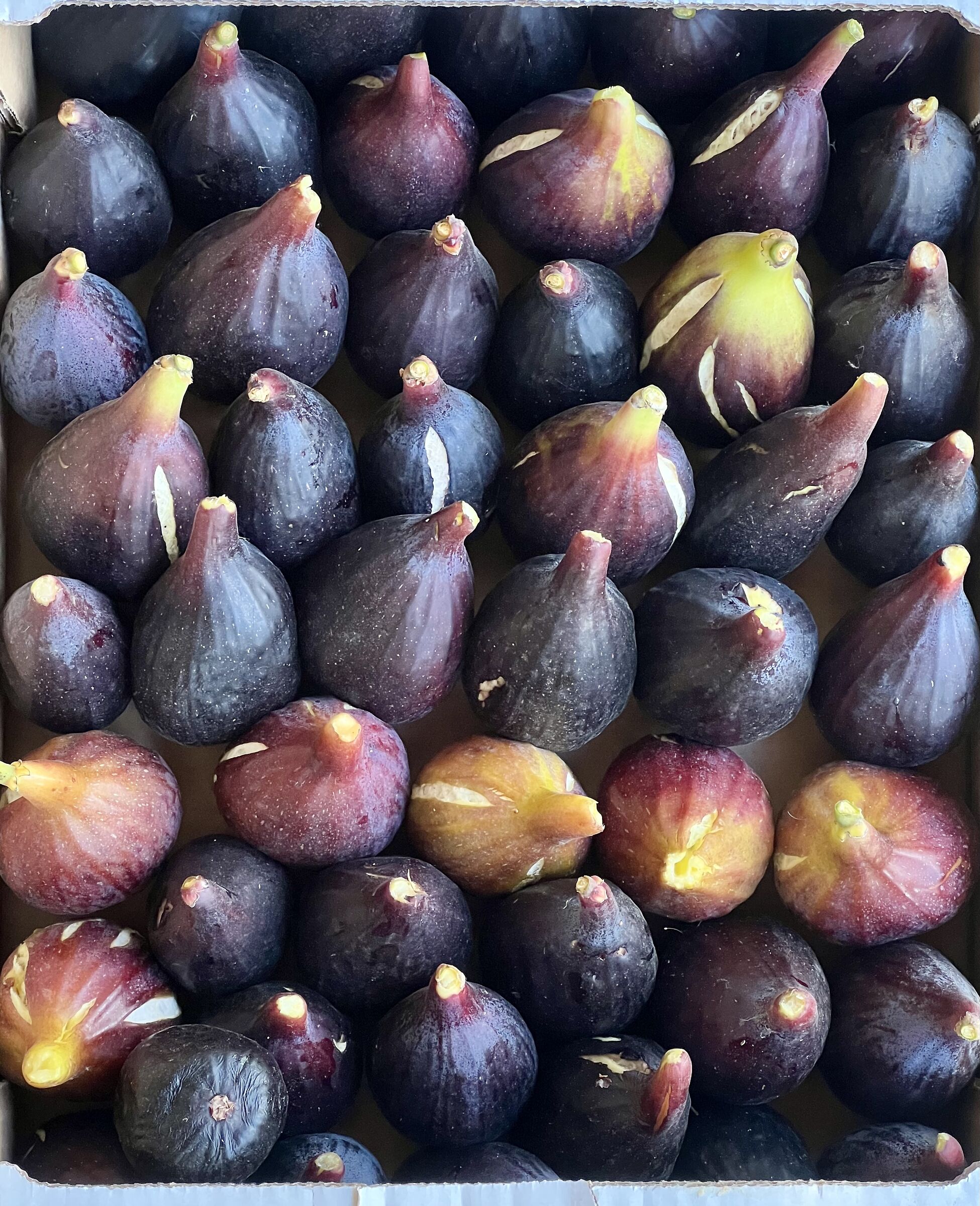 Gentile omaggio del mio fornitore di Gas!