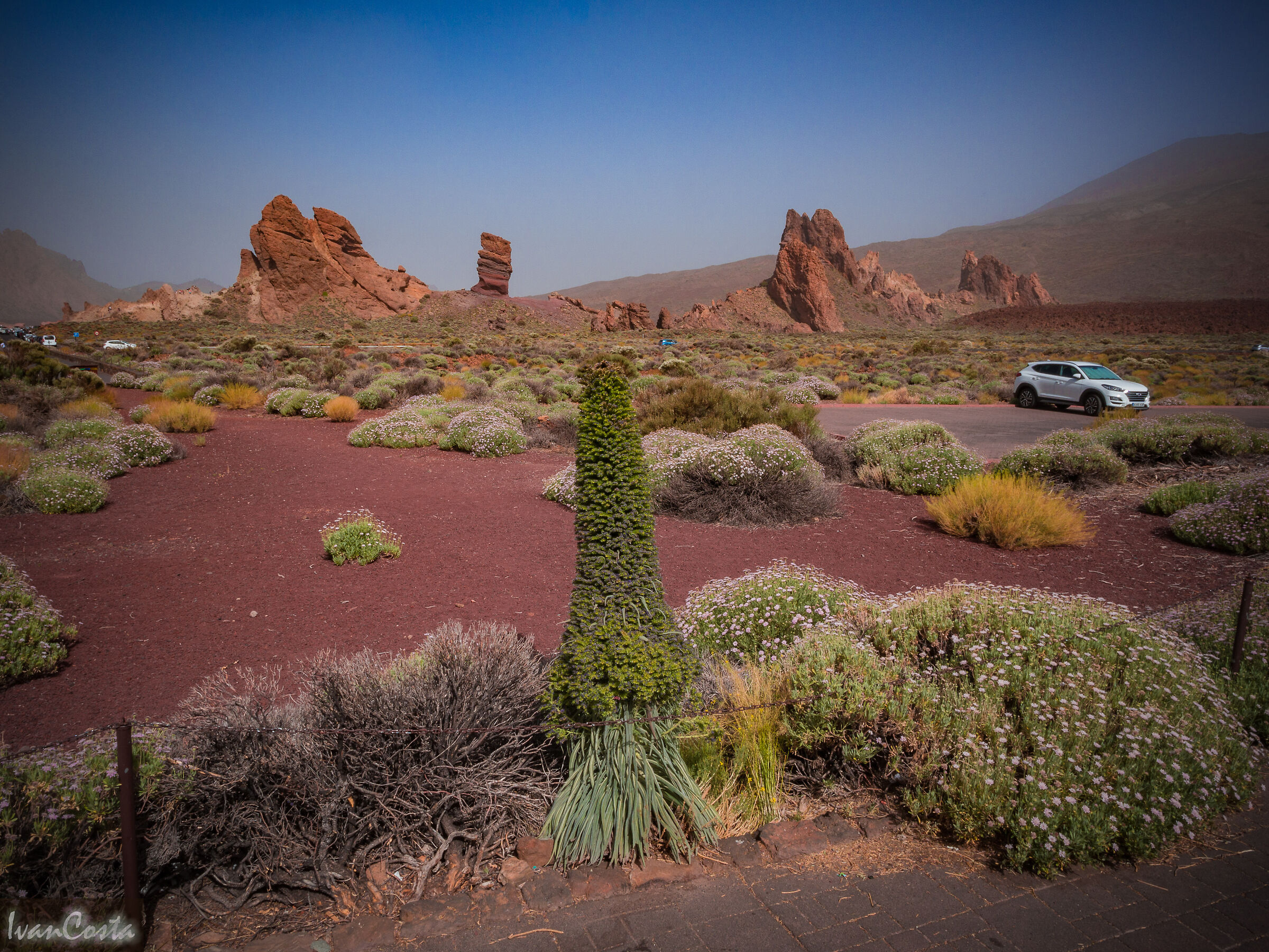 La vita del Deserto