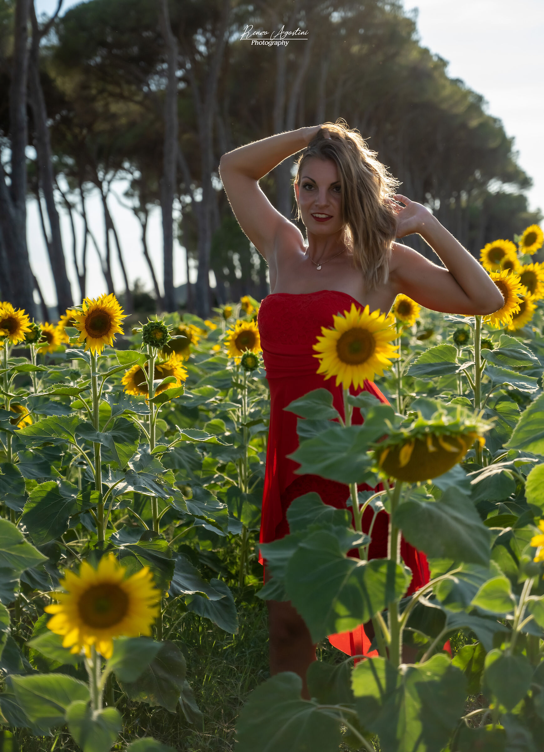 The time of... Sunflowers