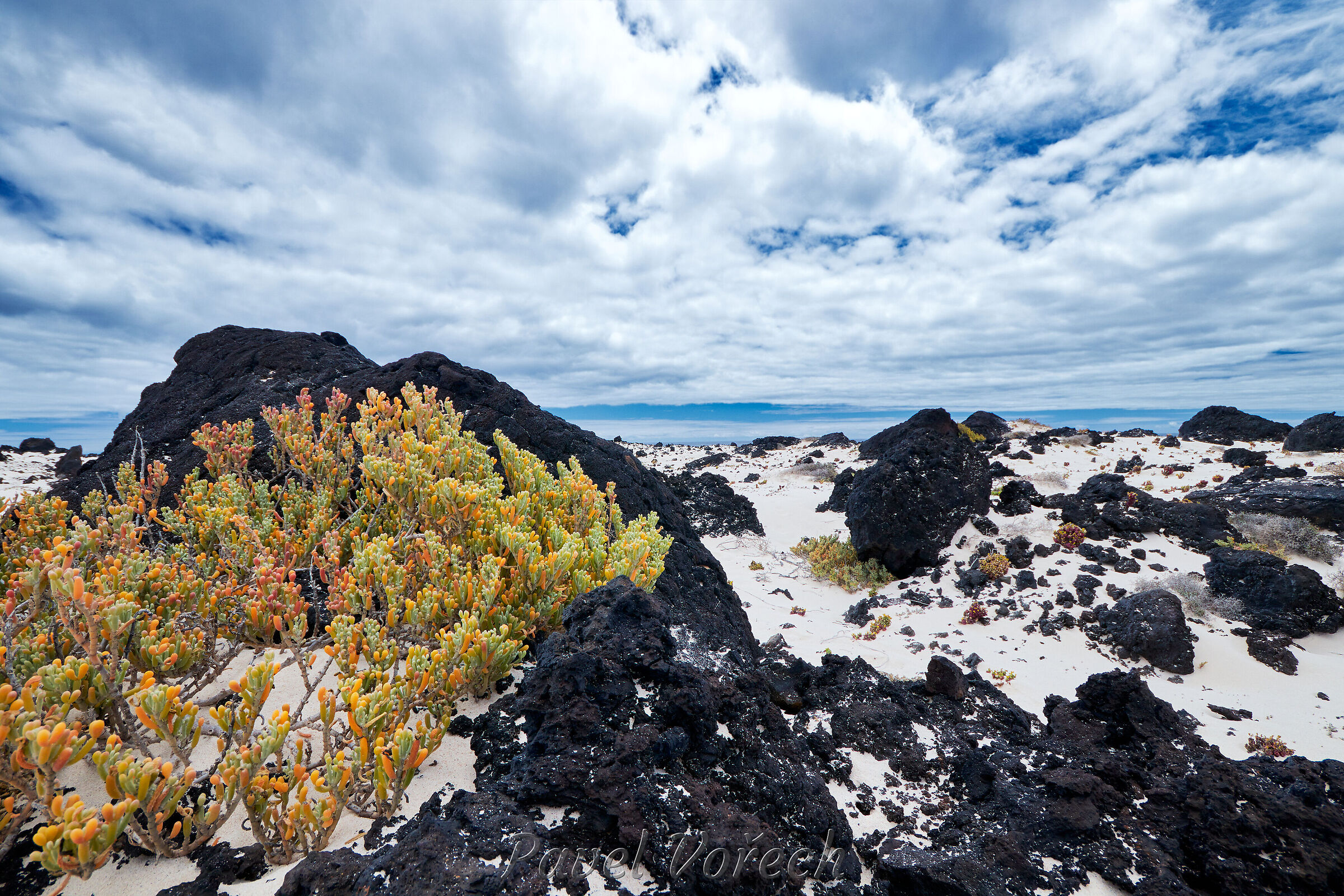 Lanzarote22 ·