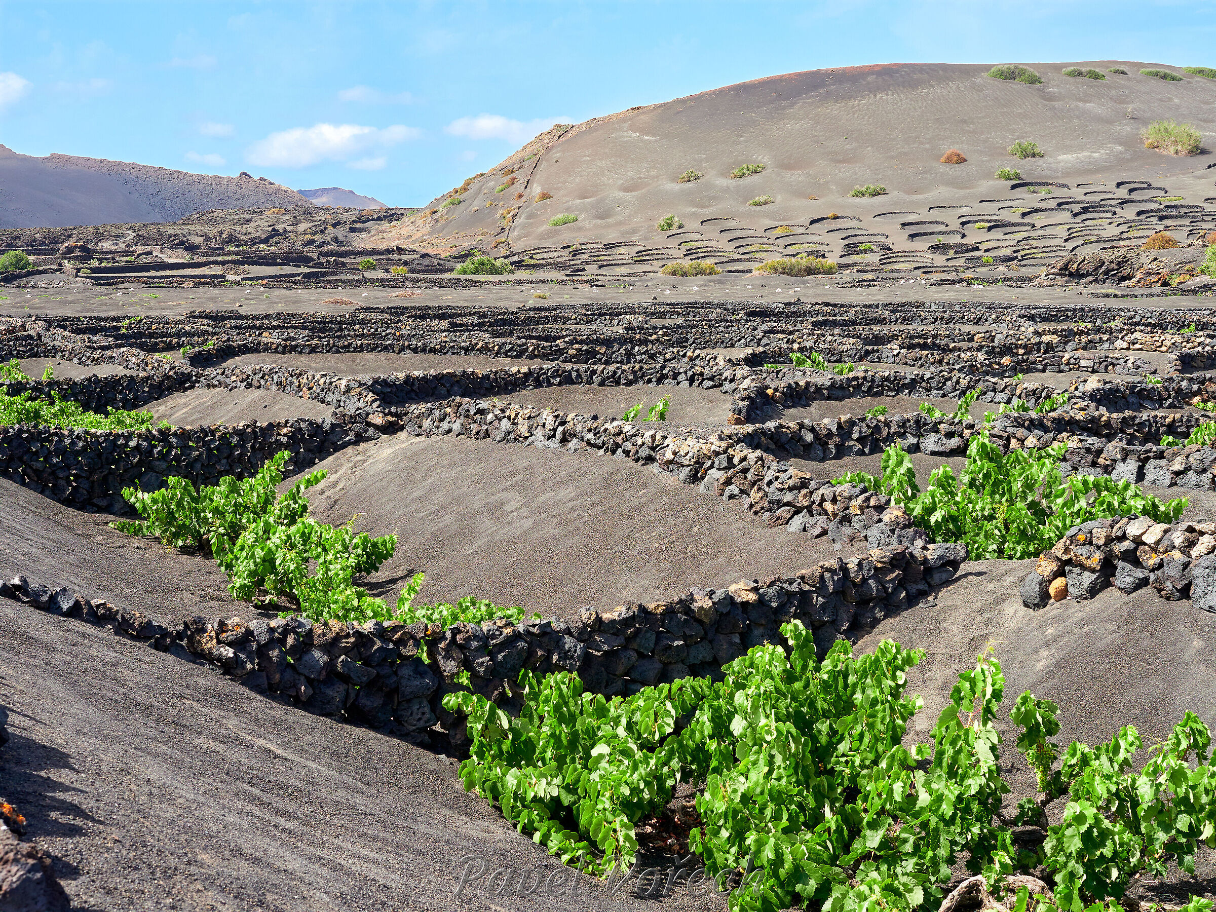 Lanzarote26