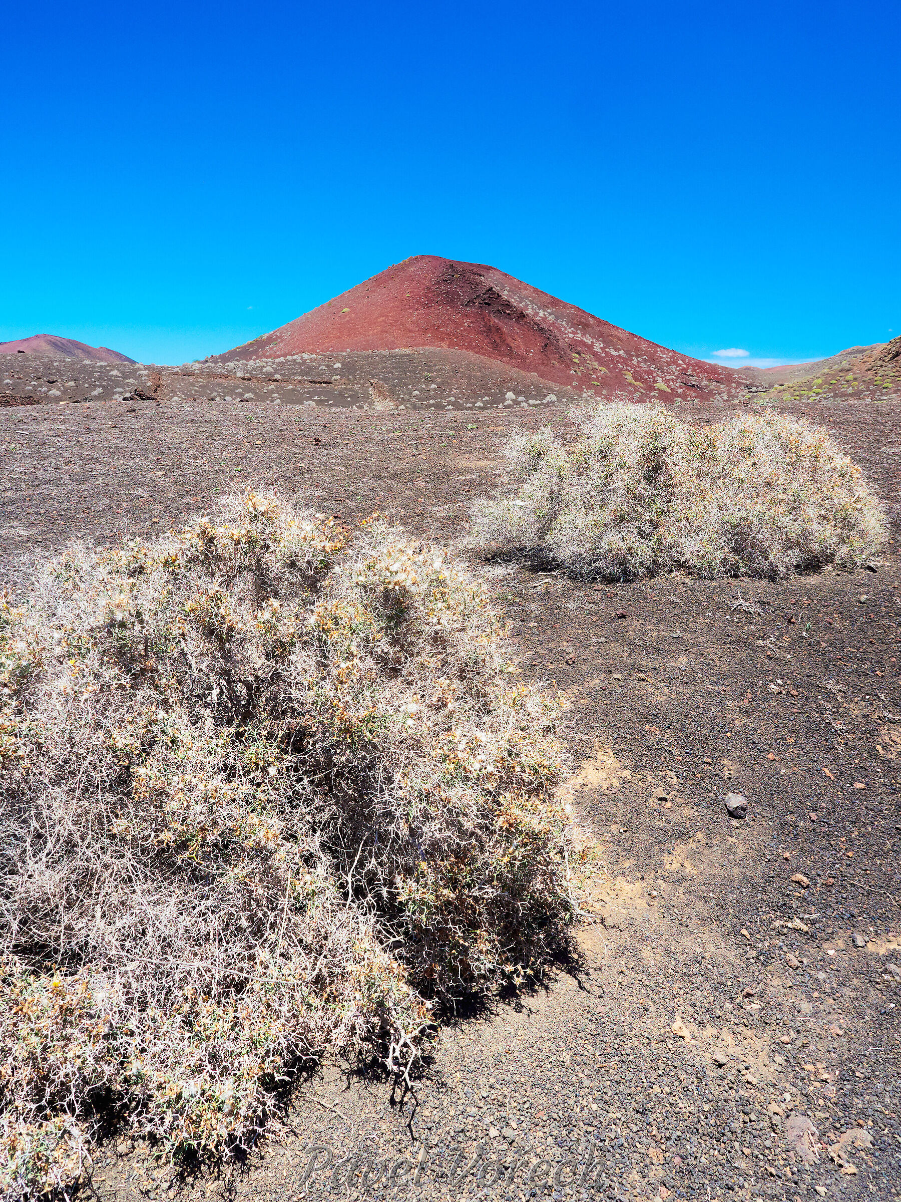 Lanzarote27