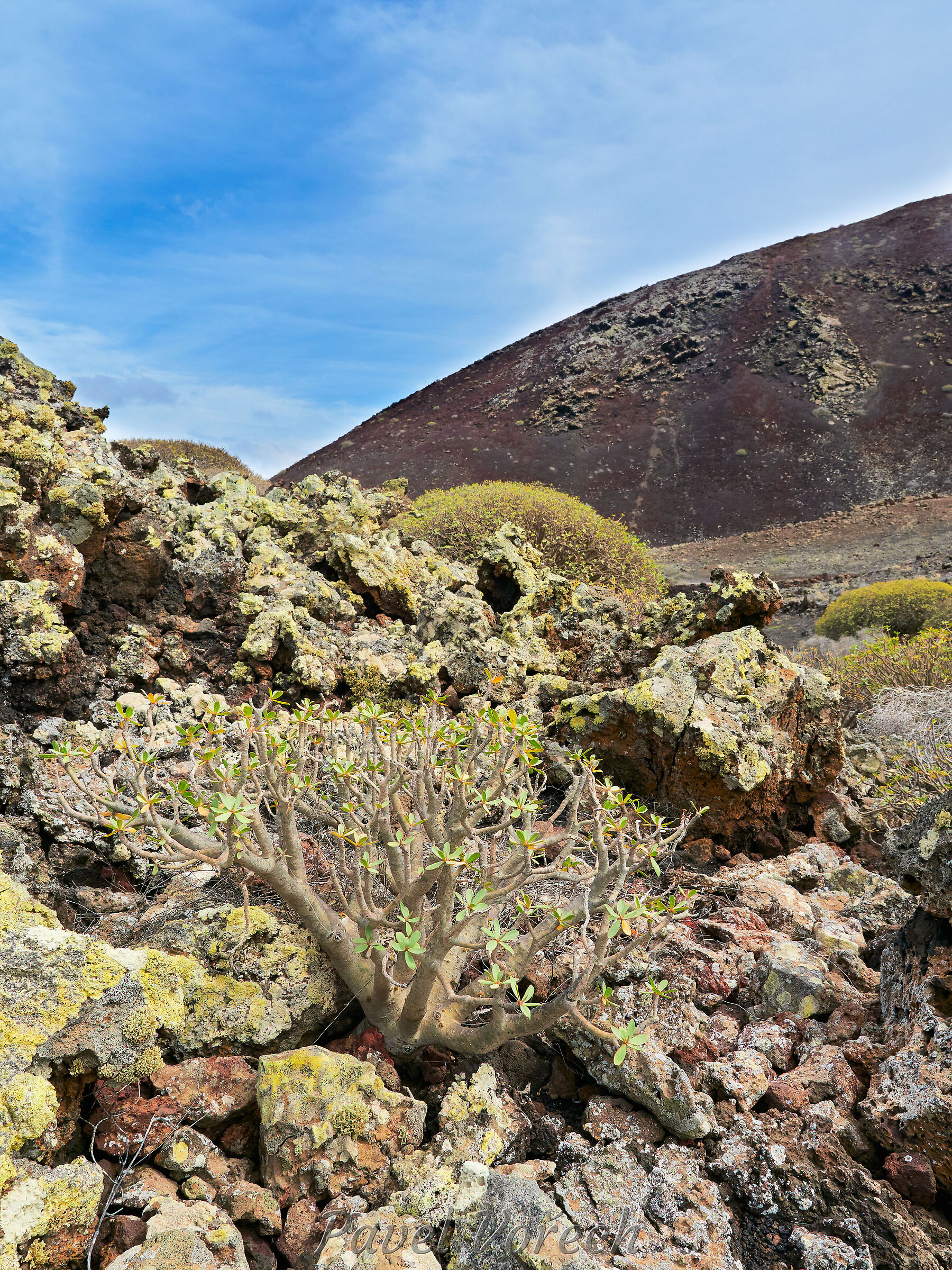 Lanzarote34 ·