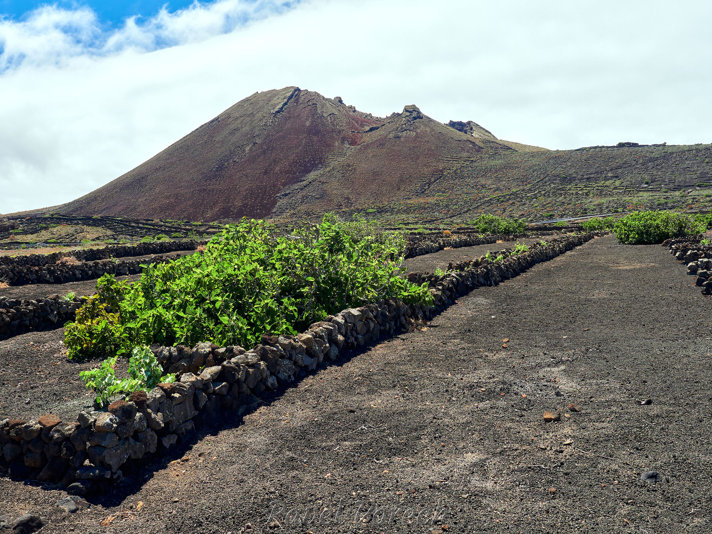 Lanzarote39 ·