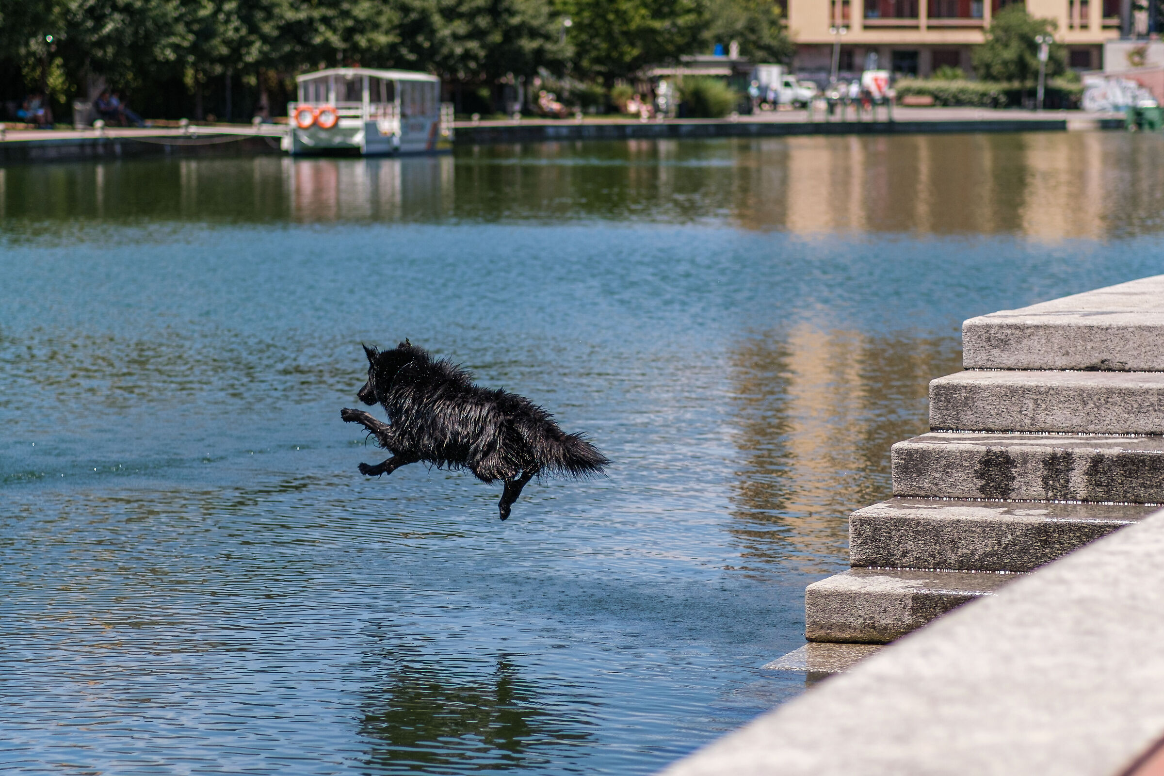 Tuffo in Darsena - Milano