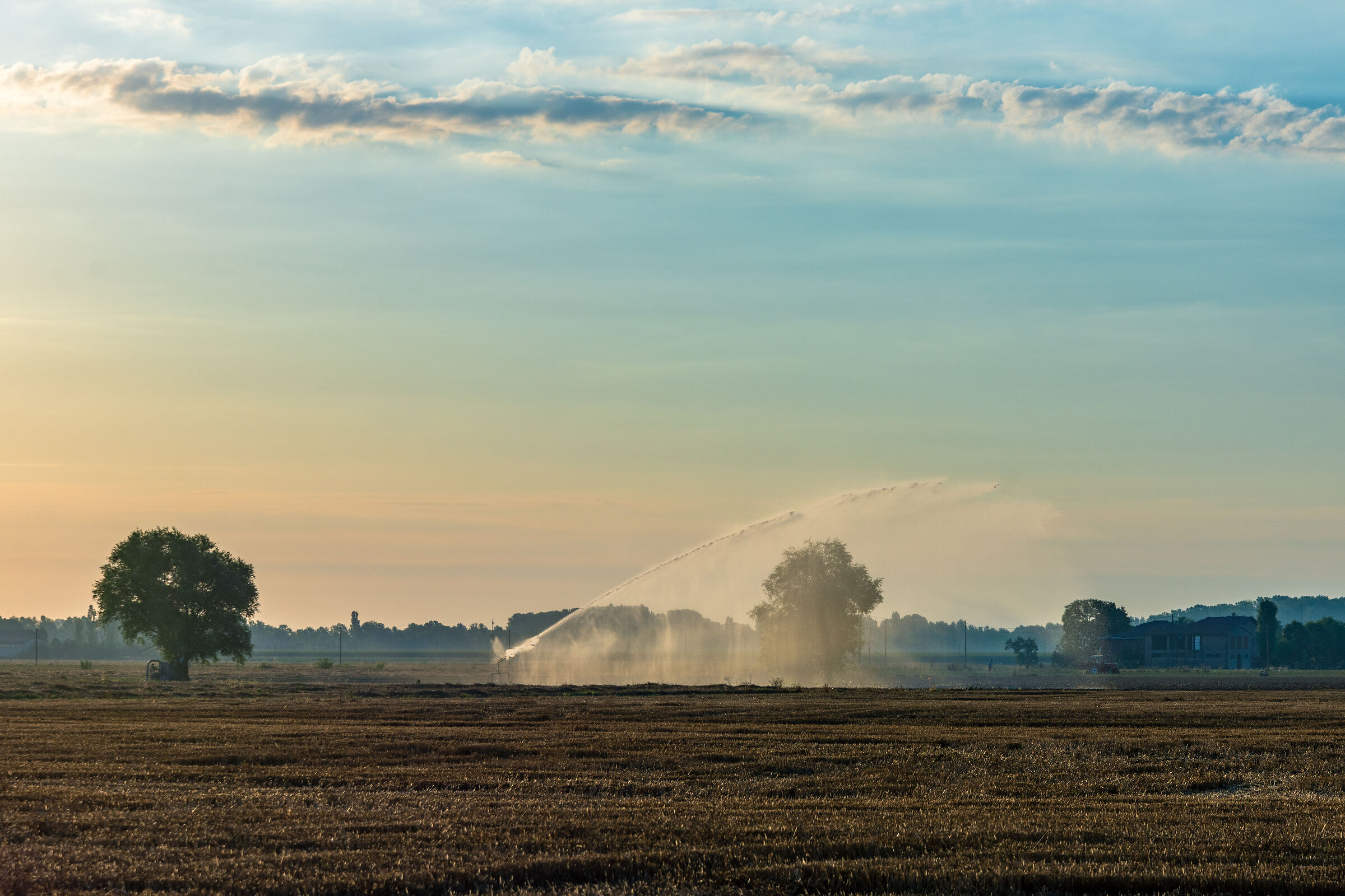 Campagna