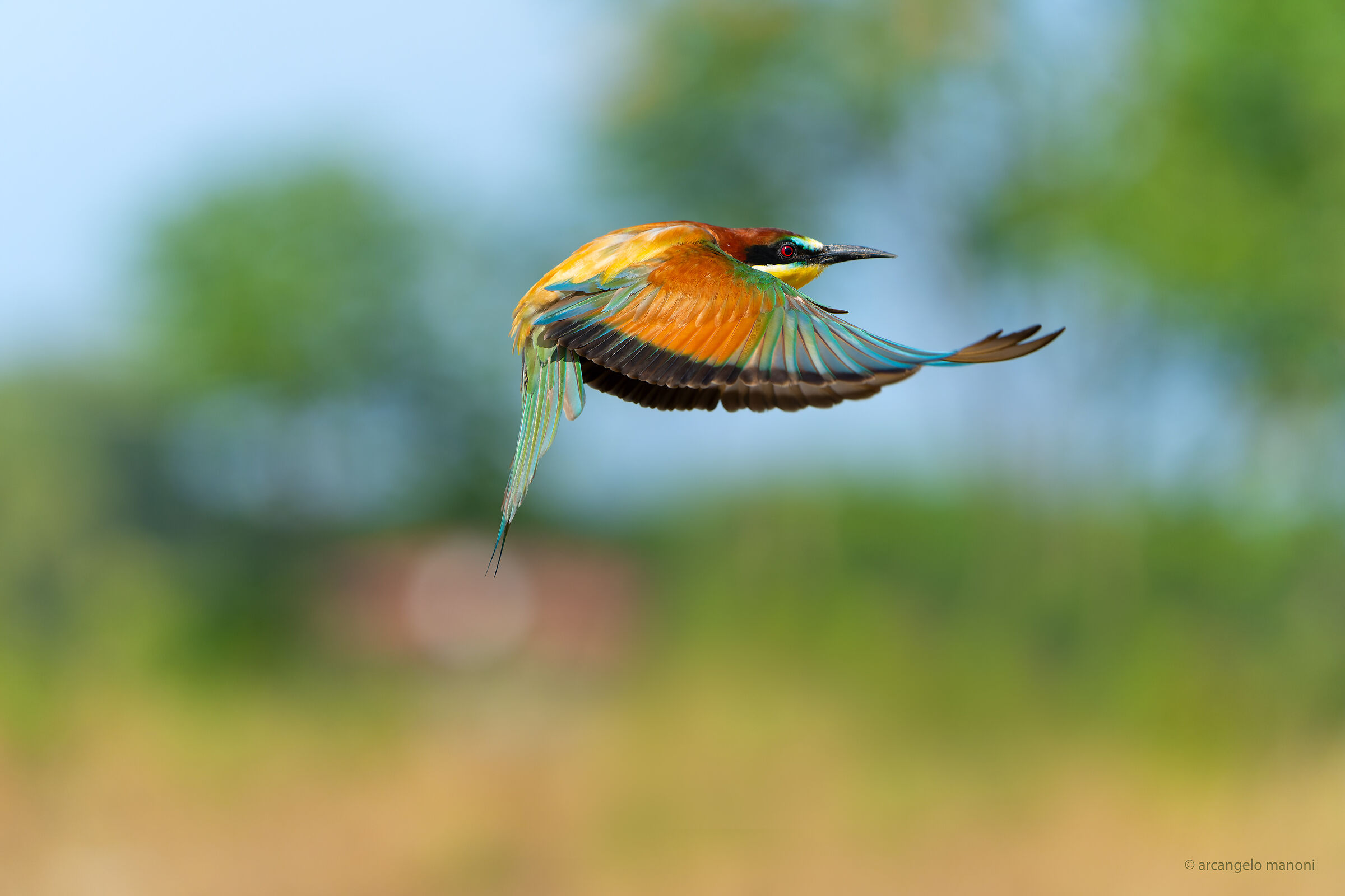 Floating in the air like a swimmer........