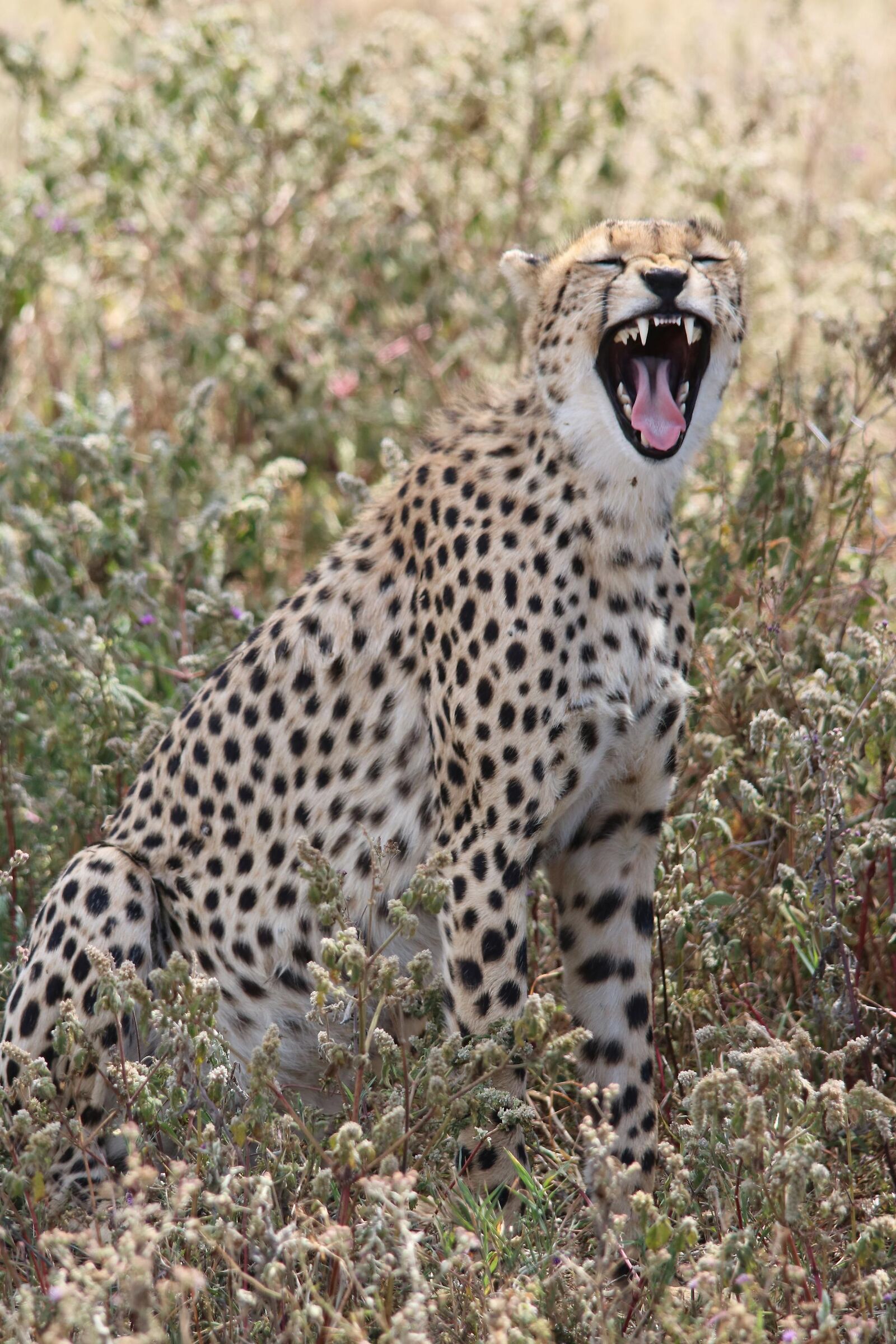 Sleep or ... hunger?