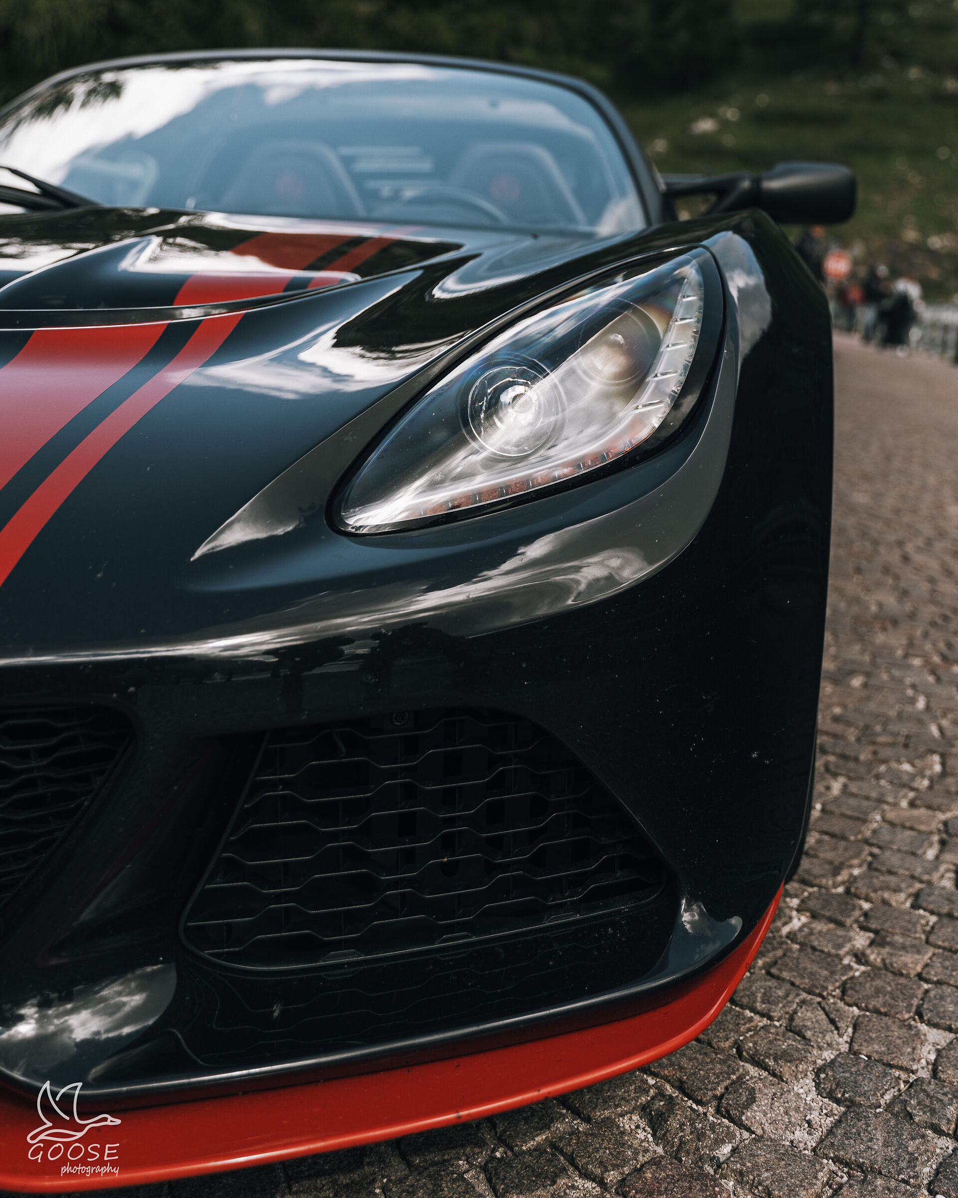 Lotus
