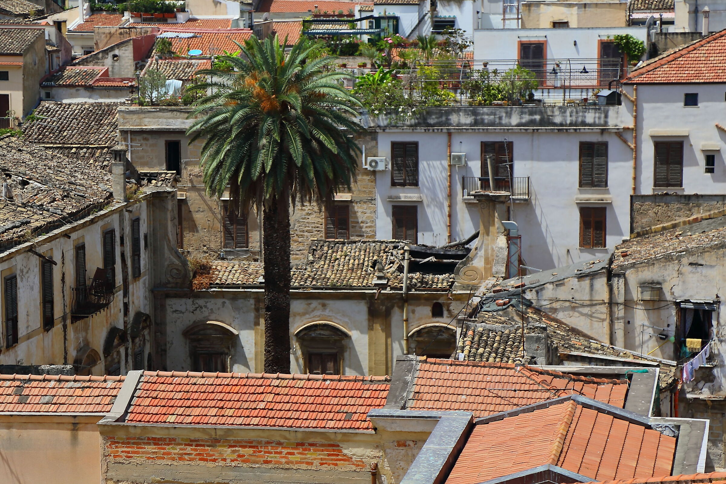 palermo DALL'ALTO