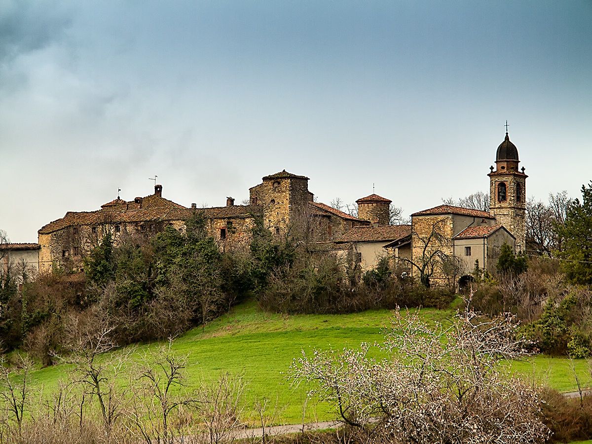 Monticello Gazzola  PC