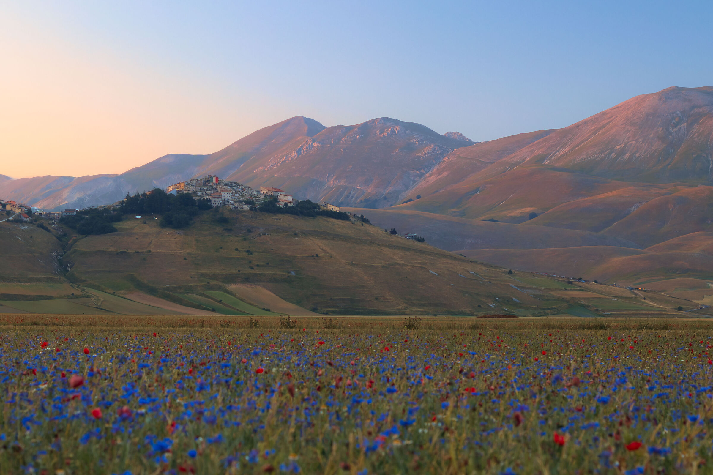 Sunset Flowering Castelluccio
