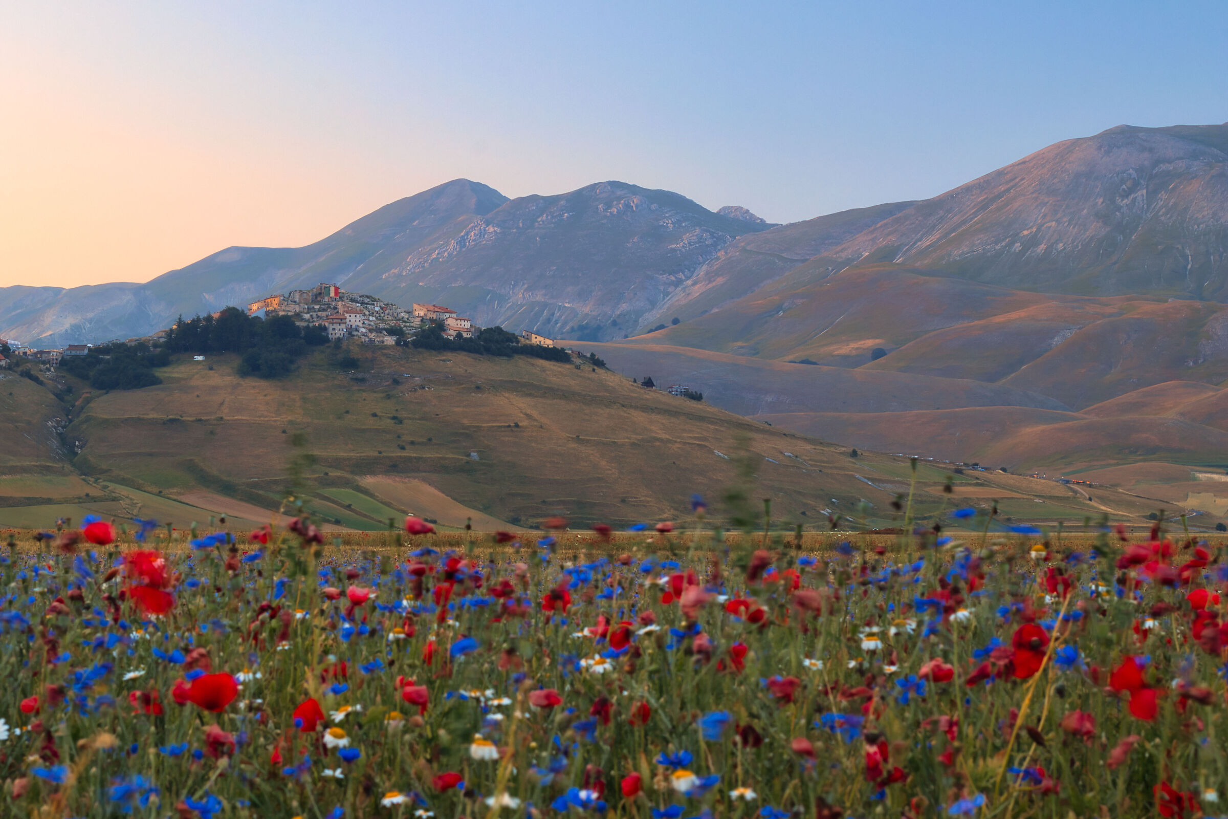 Sunset Flowering Castelluccio