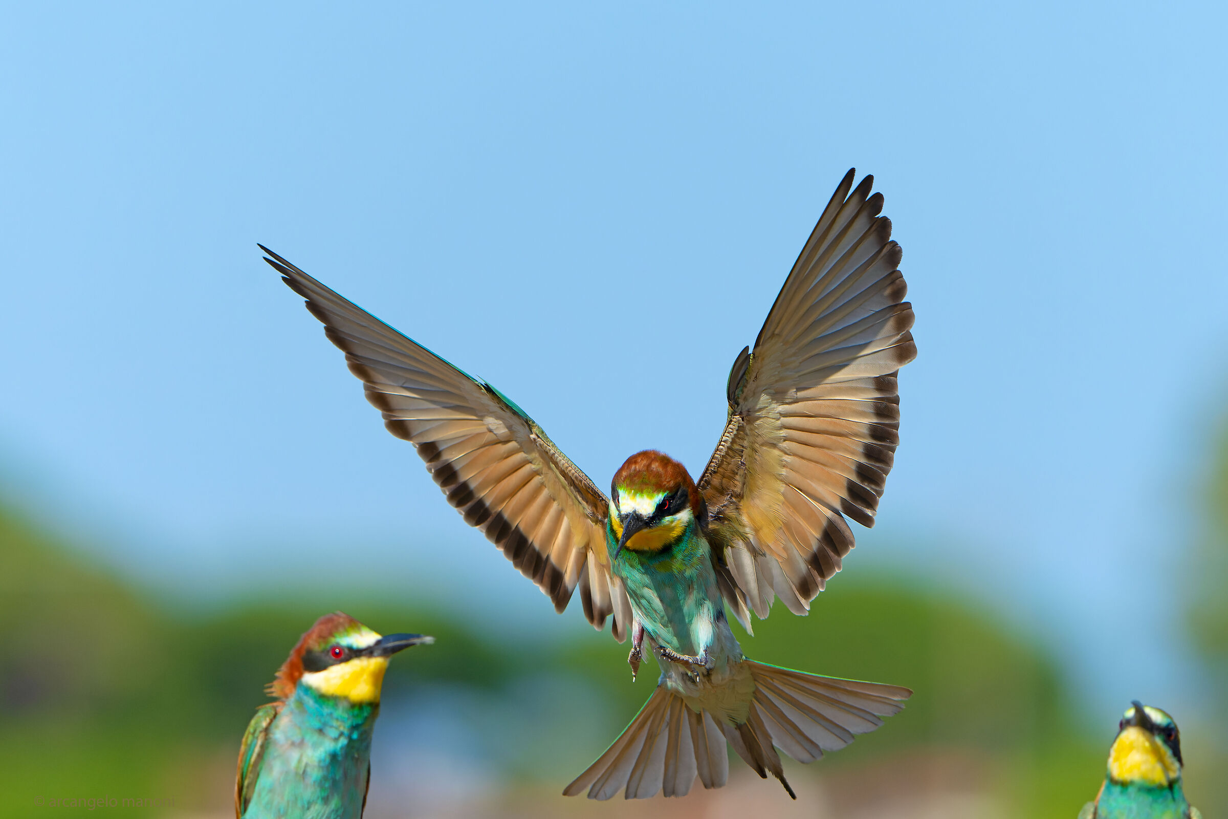 The guardians of flights