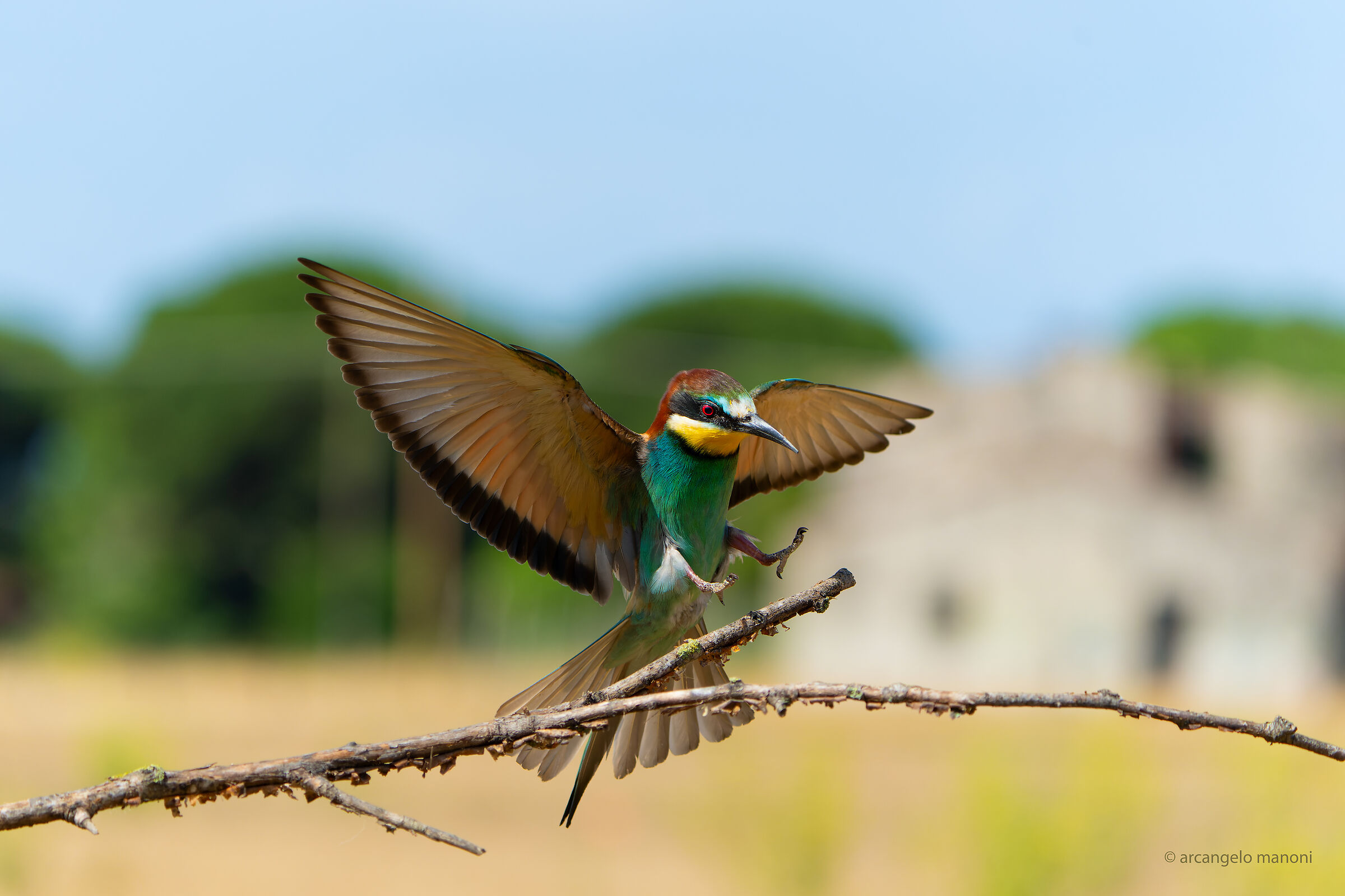 seize the fleeting moment