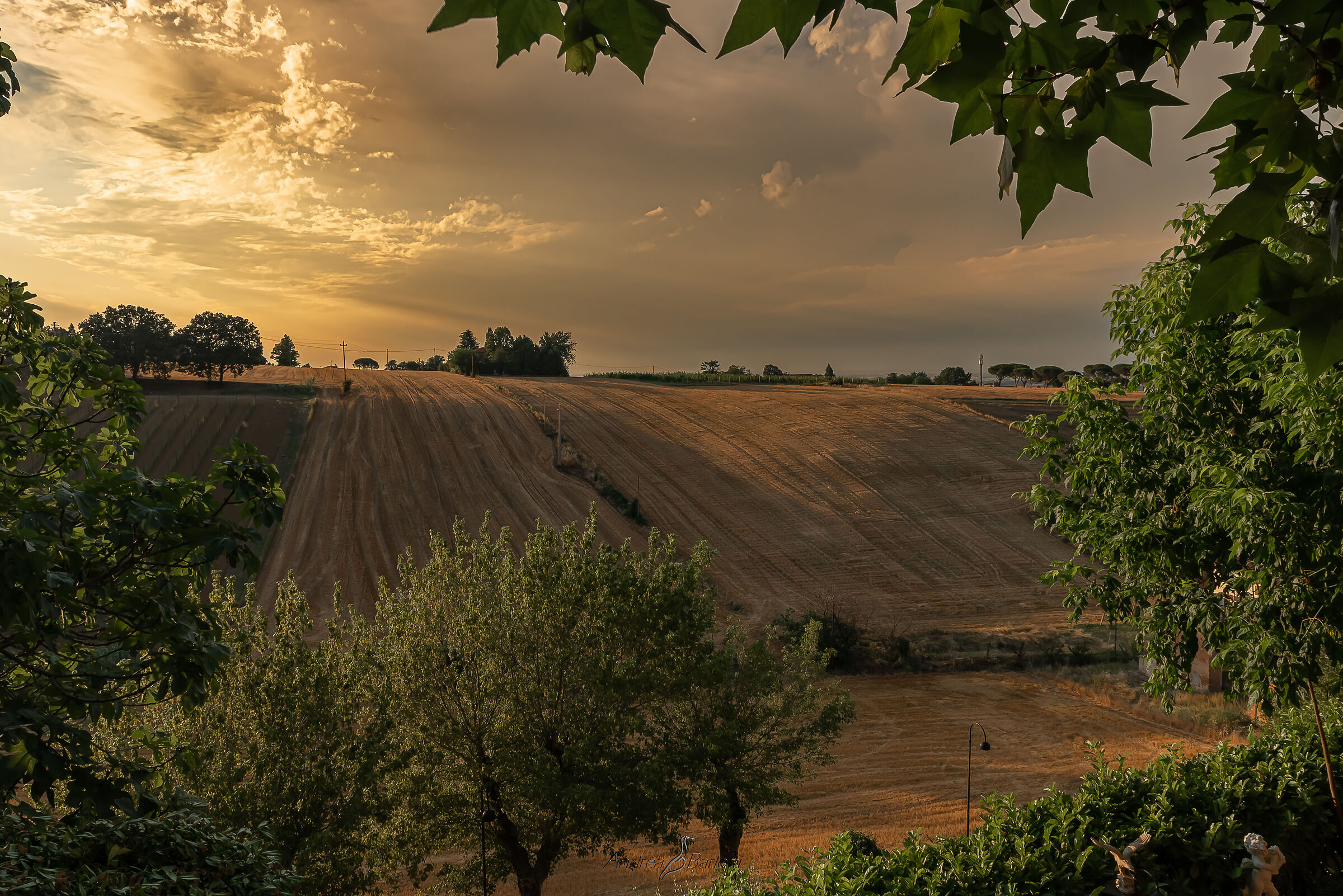 Dozza, between stories and history.