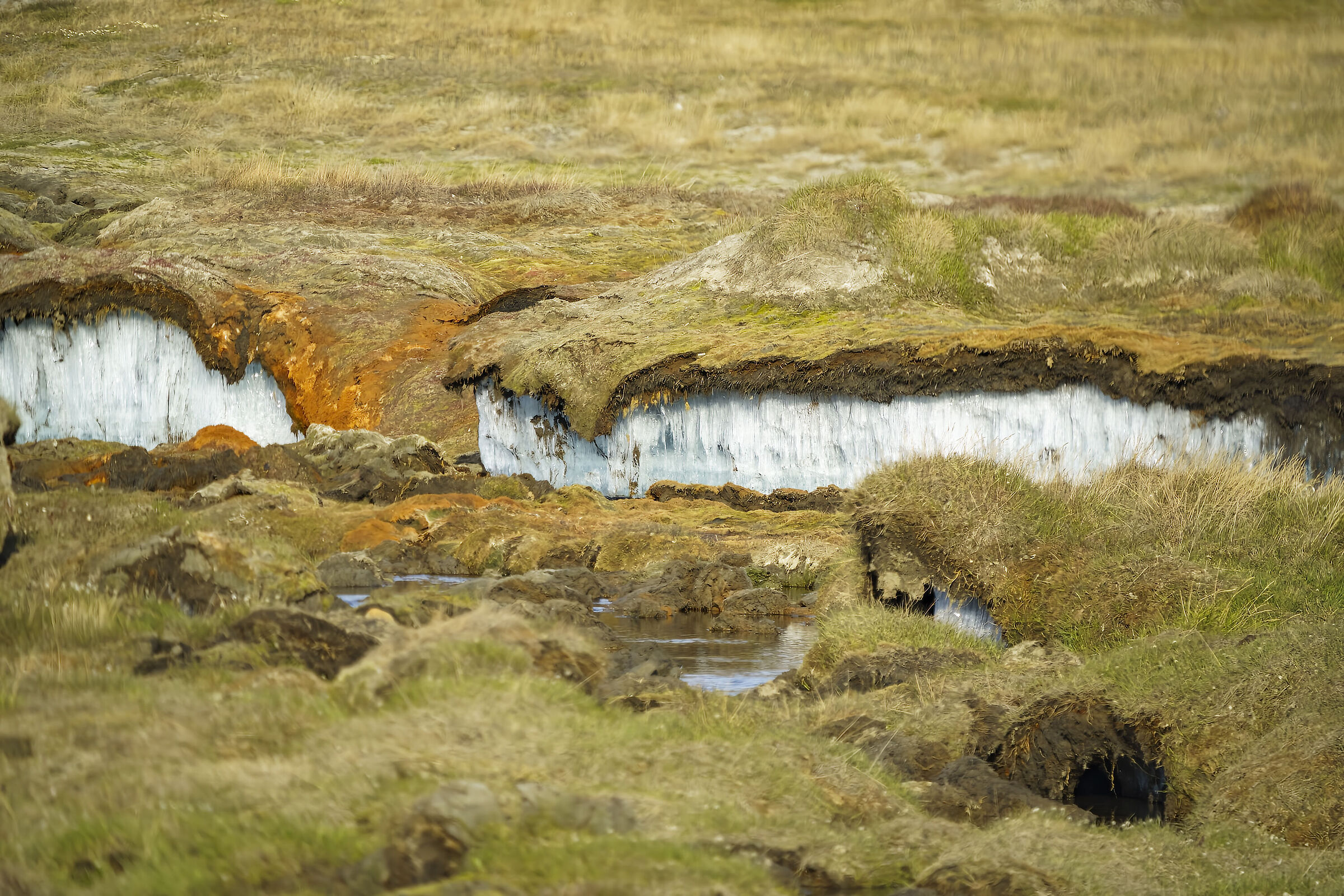 Permafrost Svaldbard